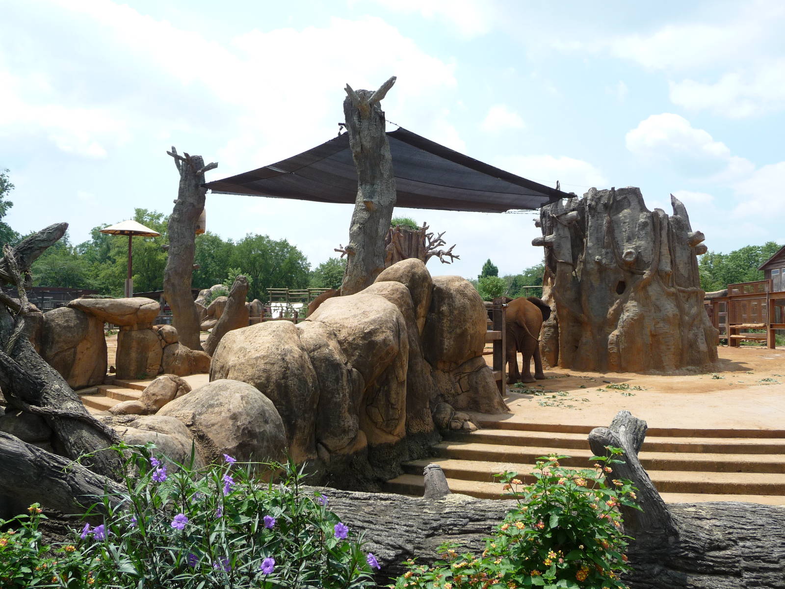 African Elephant Exhibit