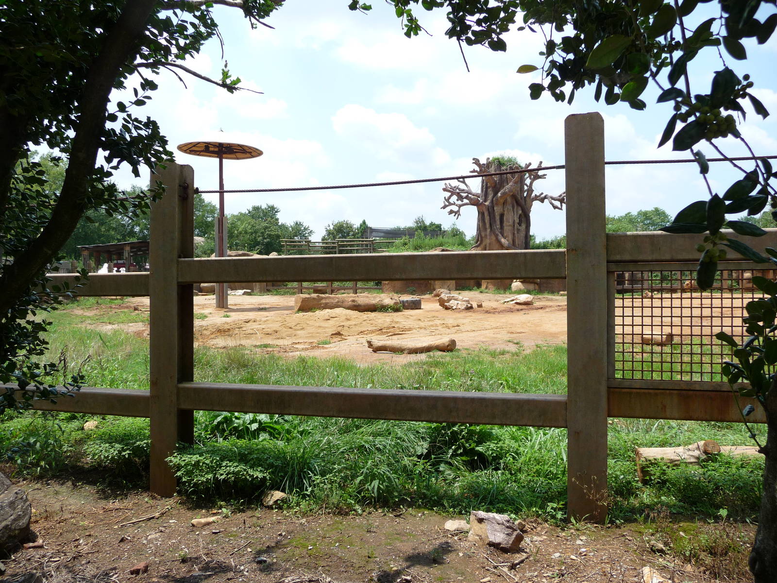 African Elephant Exhibit