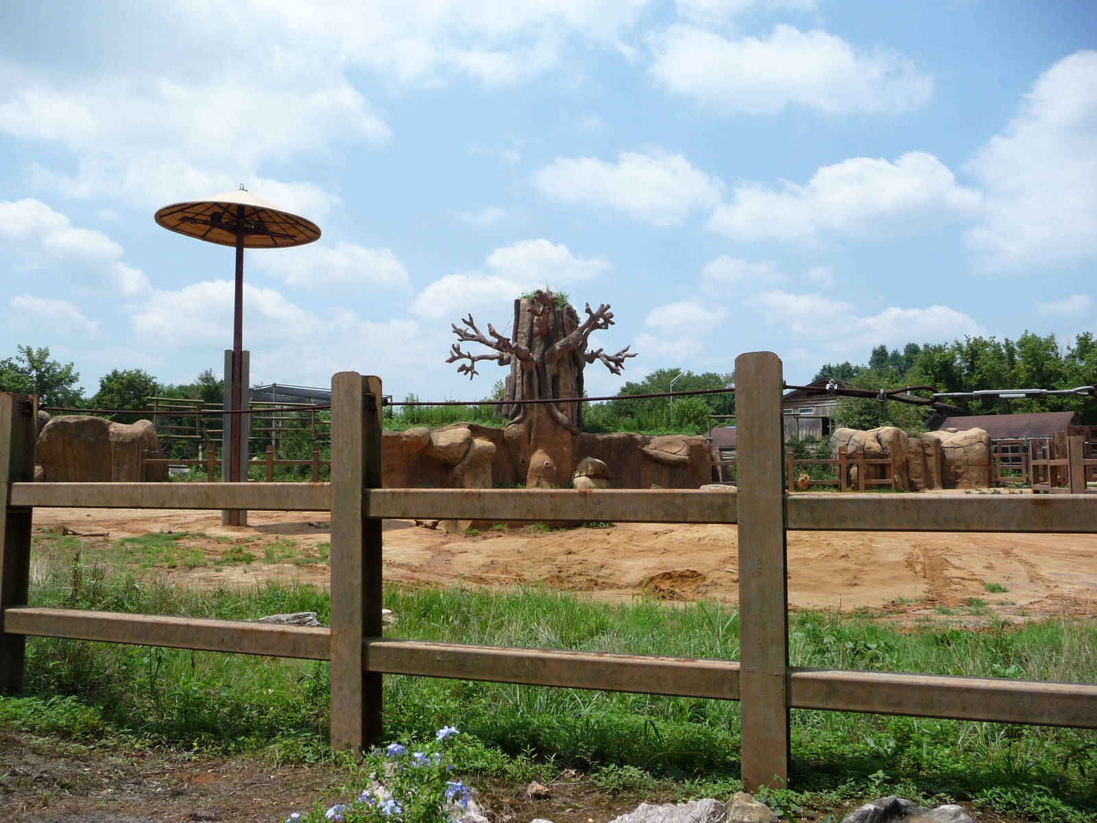 African Elephant Exhibit