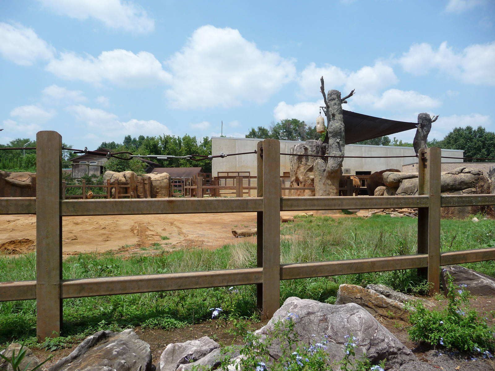 African Elephant Exhibit