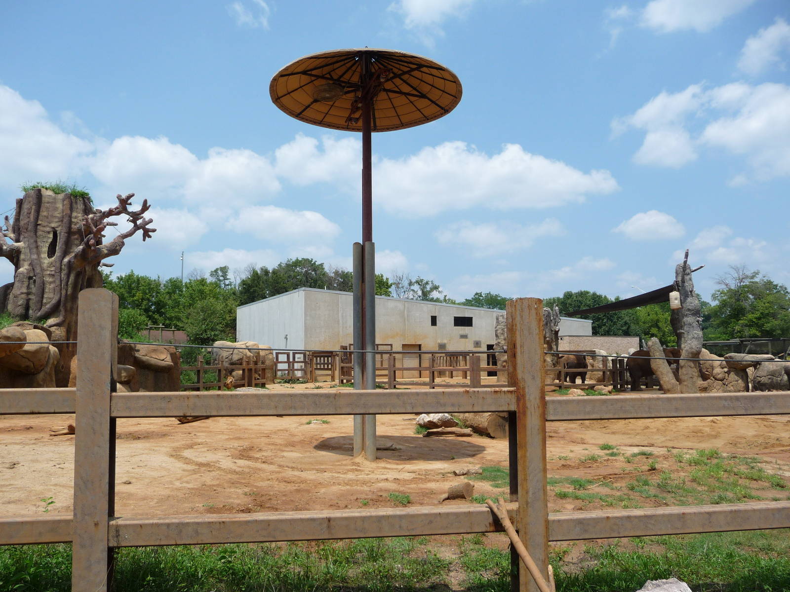 African Elephant Exhibit