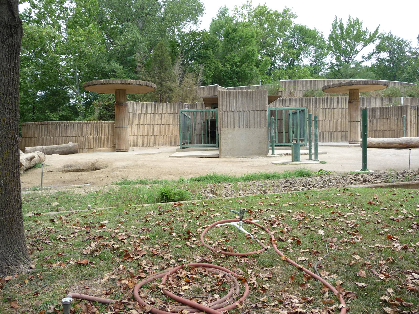 African Elephant Exhibit