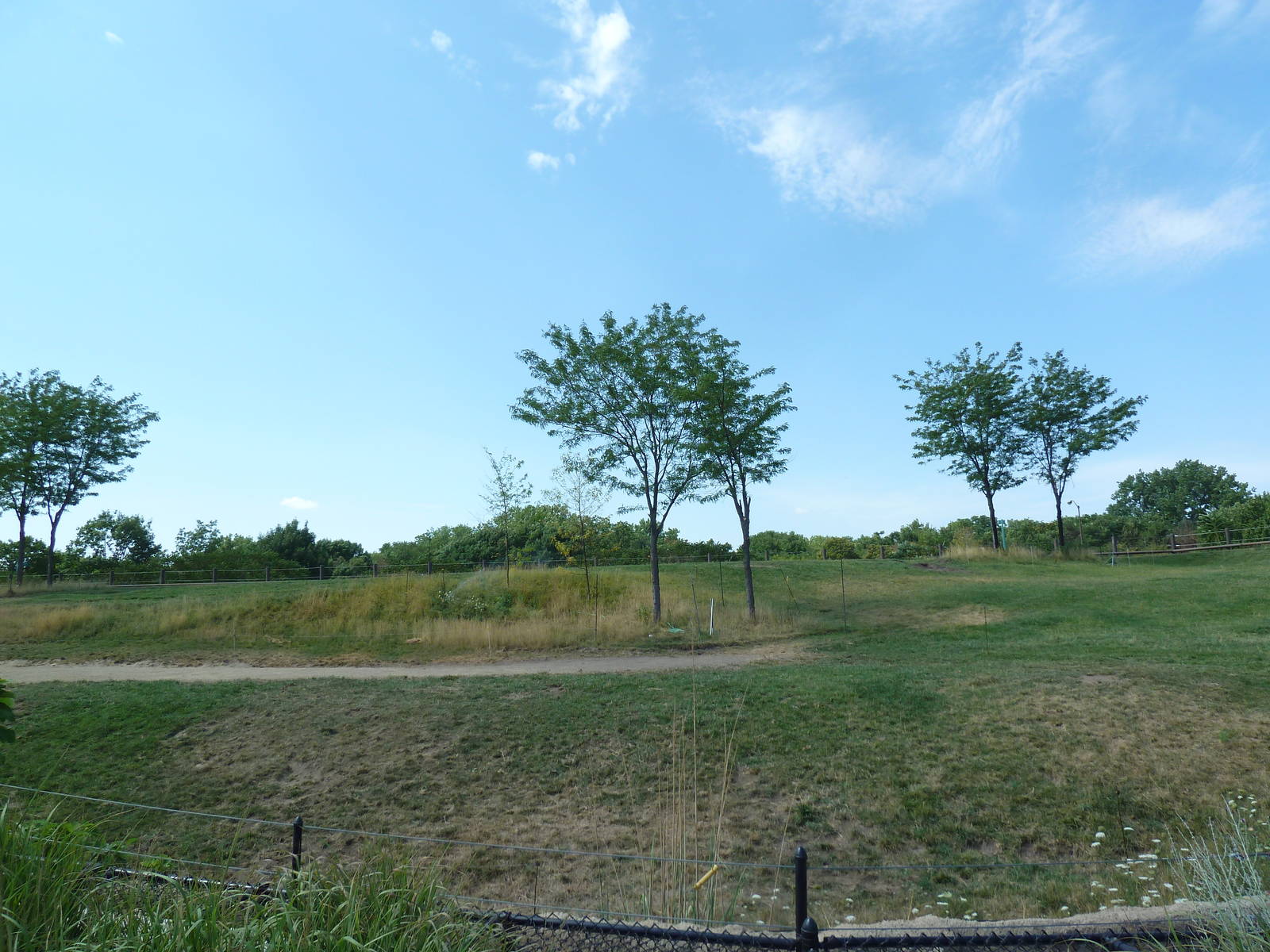 African Elephant Exhibit