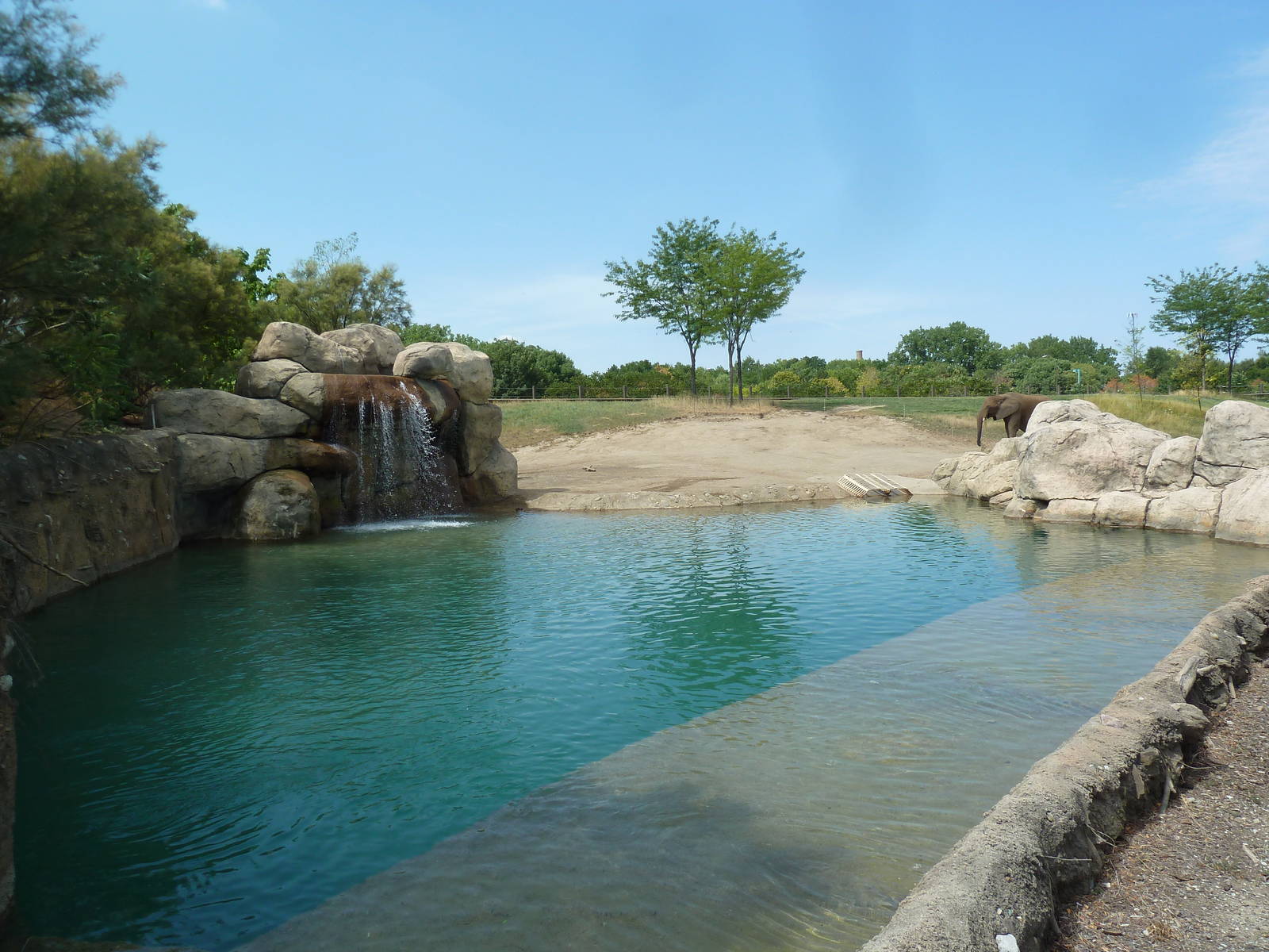 African Elephant Exhibit
