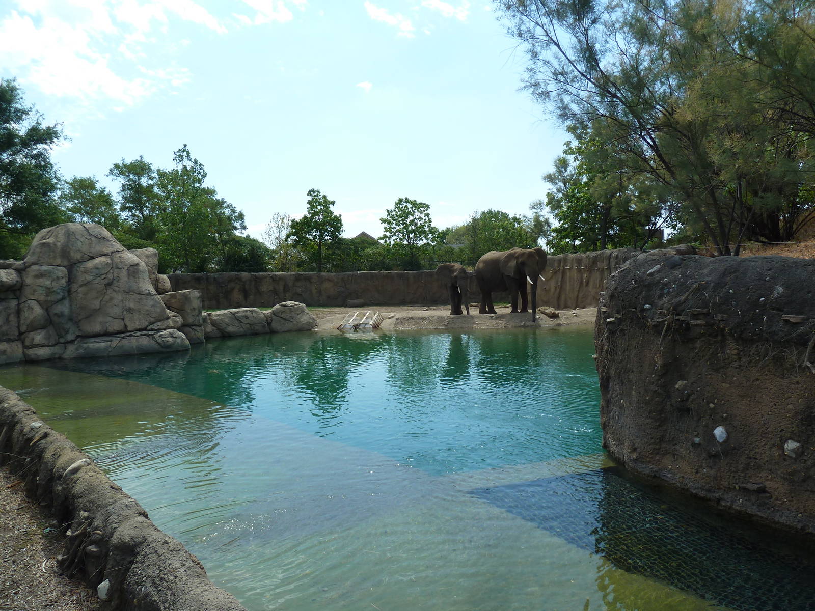 African Elephant Exhibit