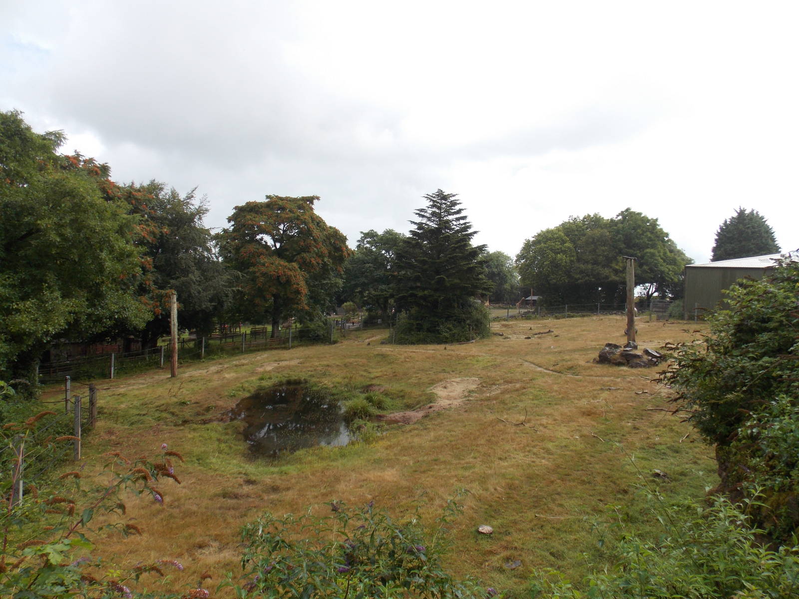 African Elephant Exhibit
