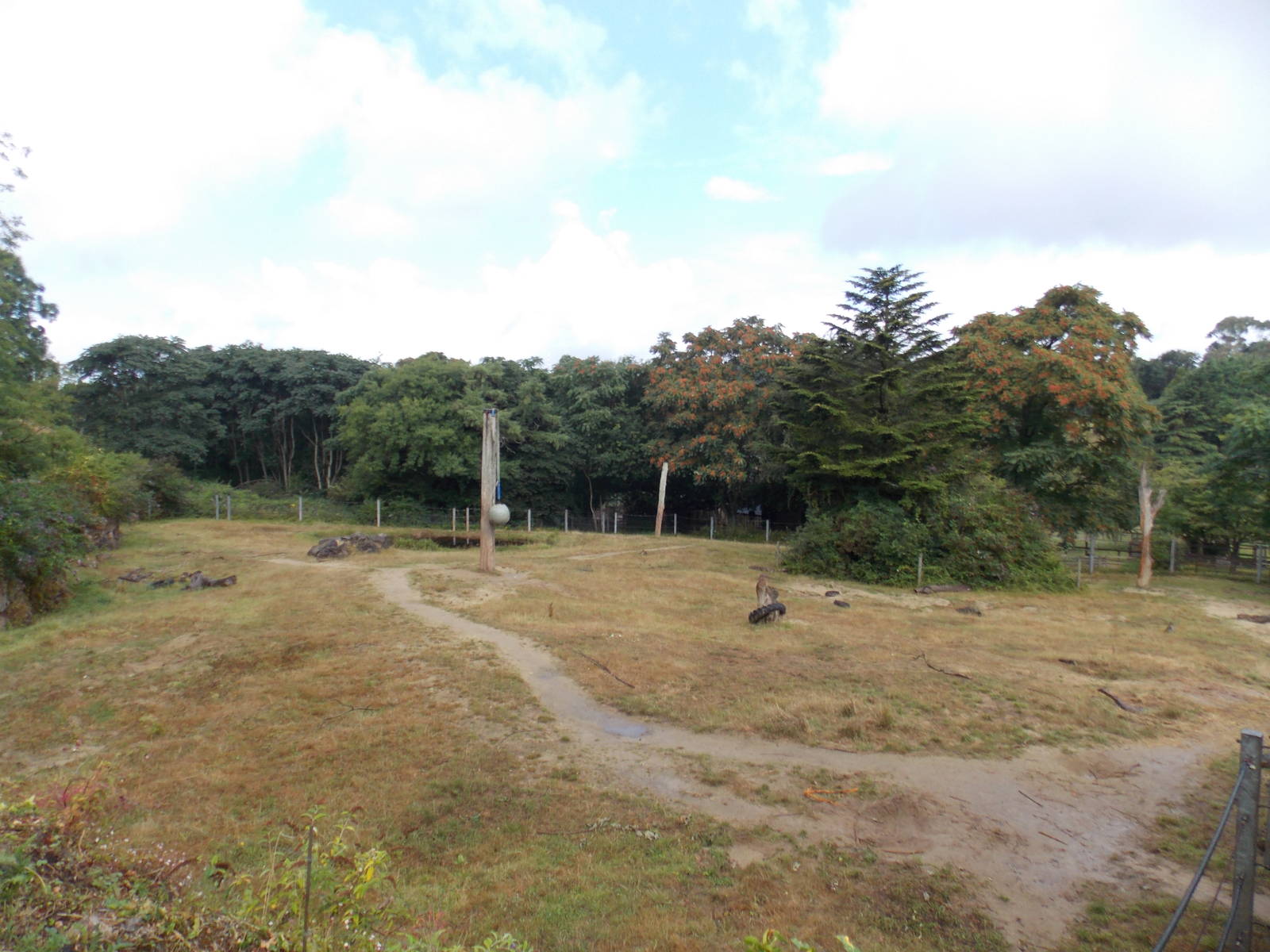 African Elephant Exhibit