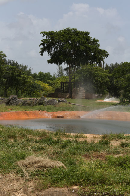 african elephant exhibit