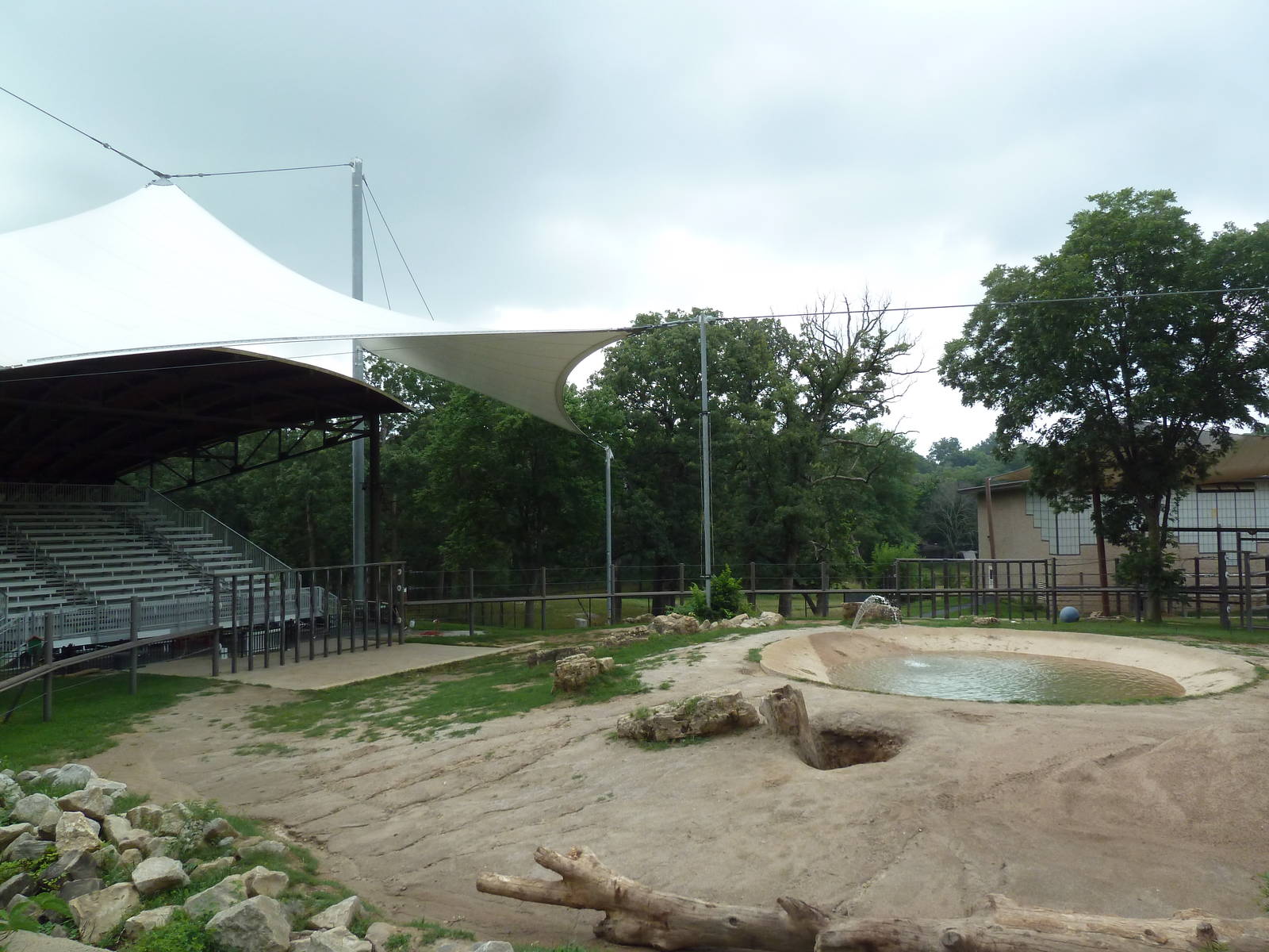 African Elephant Exhibit