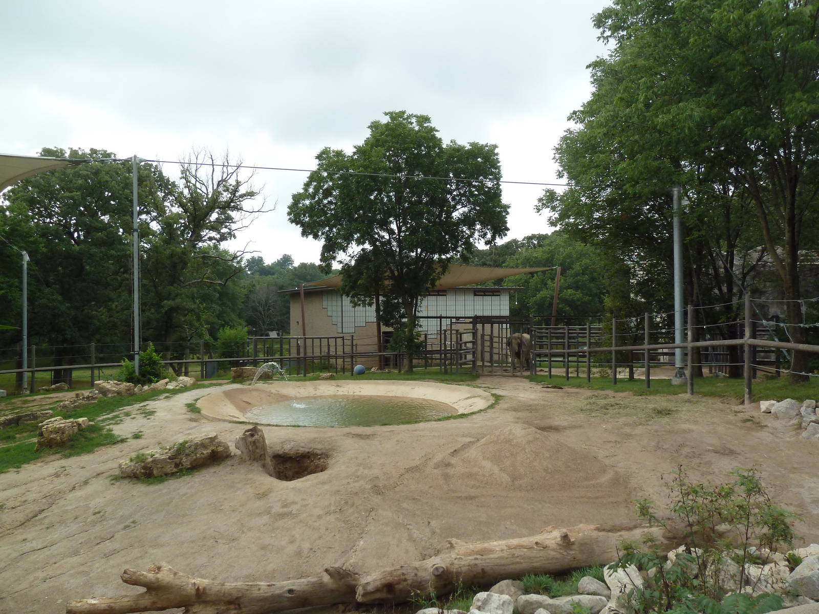 African Elephant Exhibit