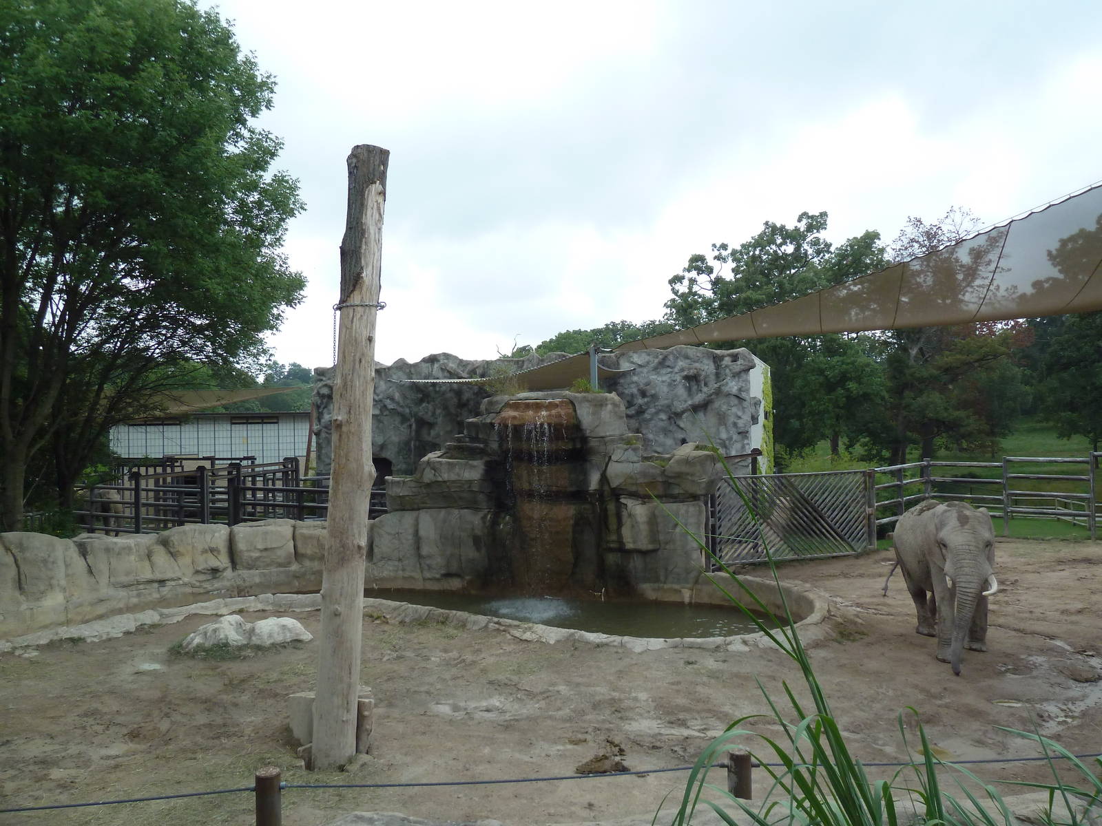 African Elephant Exhibit