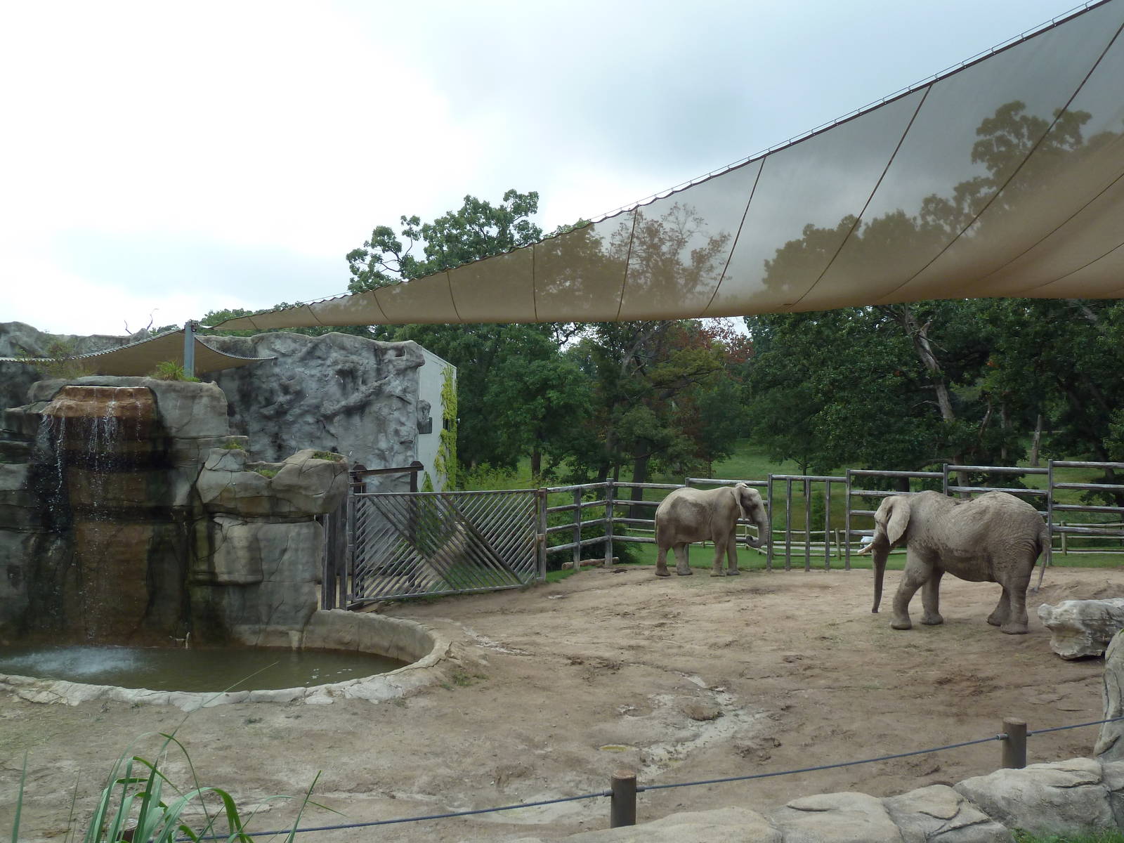 African Elephant Exhibit
