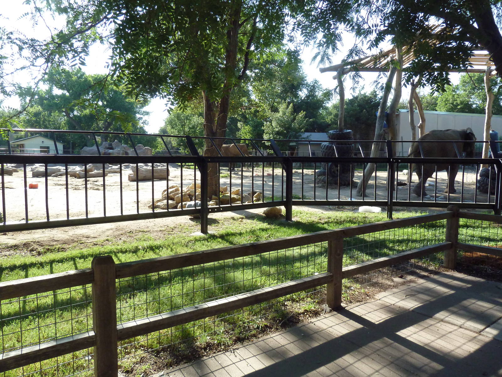 African Elephant Exhibit