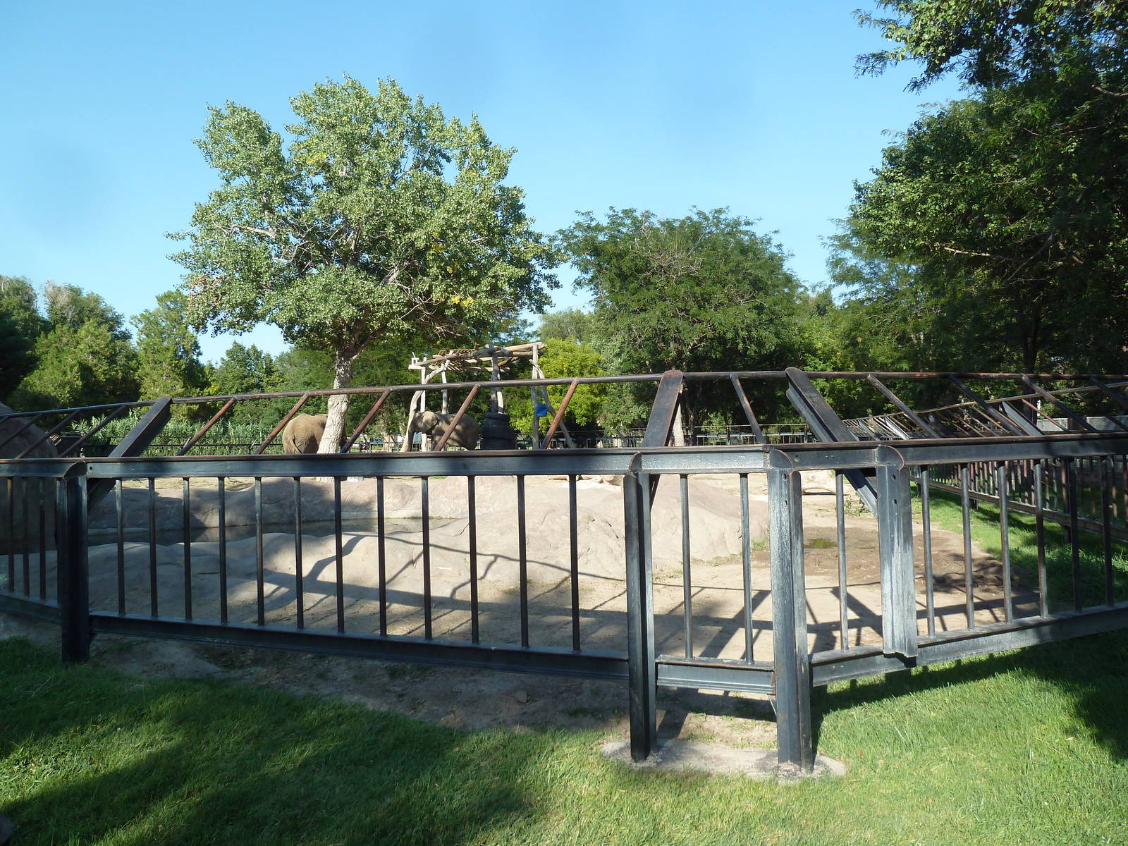 African Elephant Exhibit