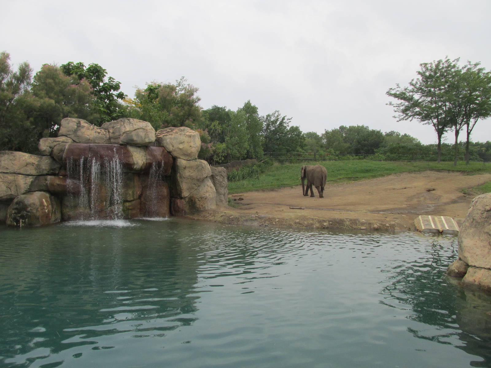 African Elephant Exhibit