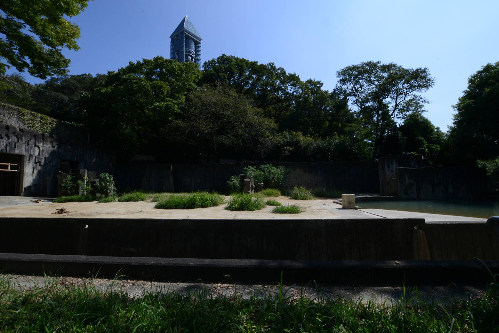 African elephant exhibit