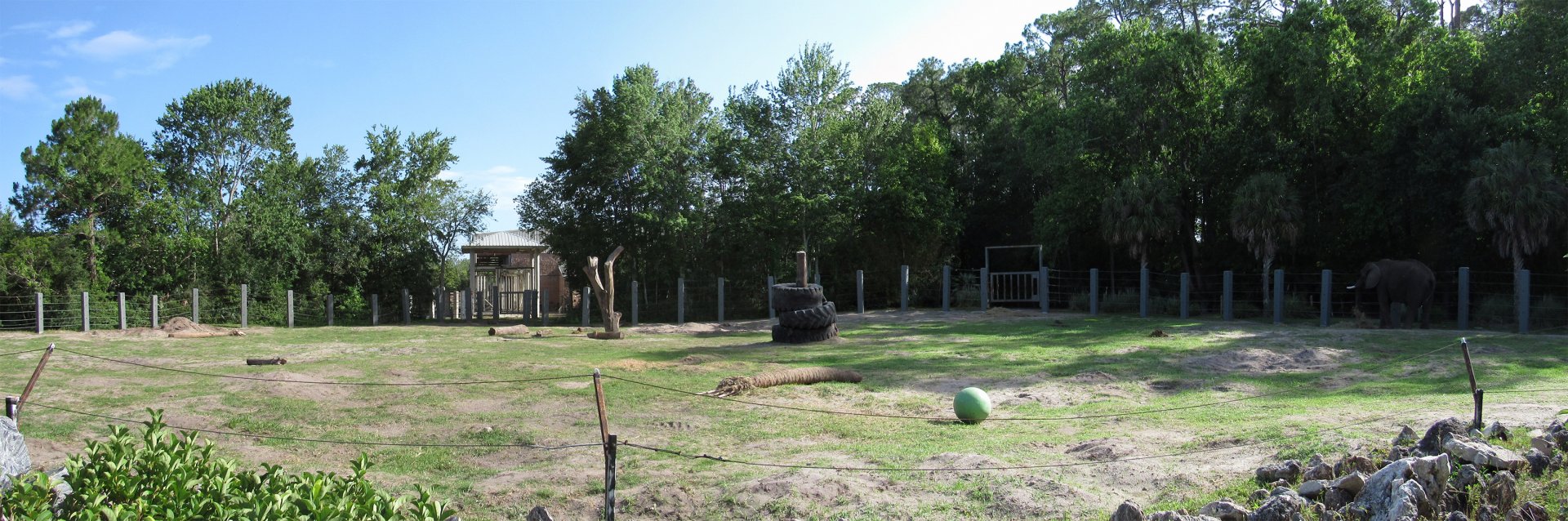 African Elephant Exhibit