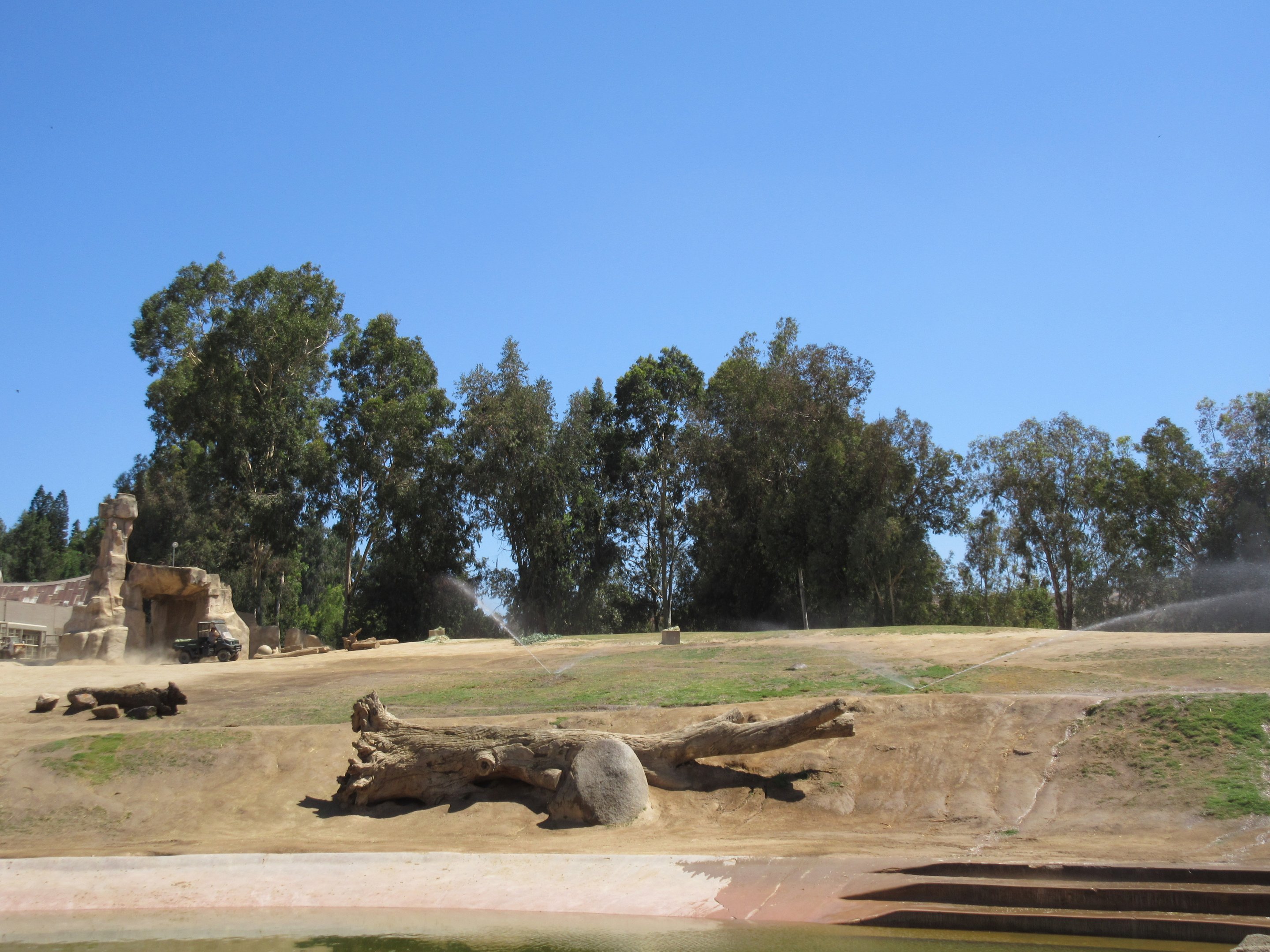 African Elephant Exhibit