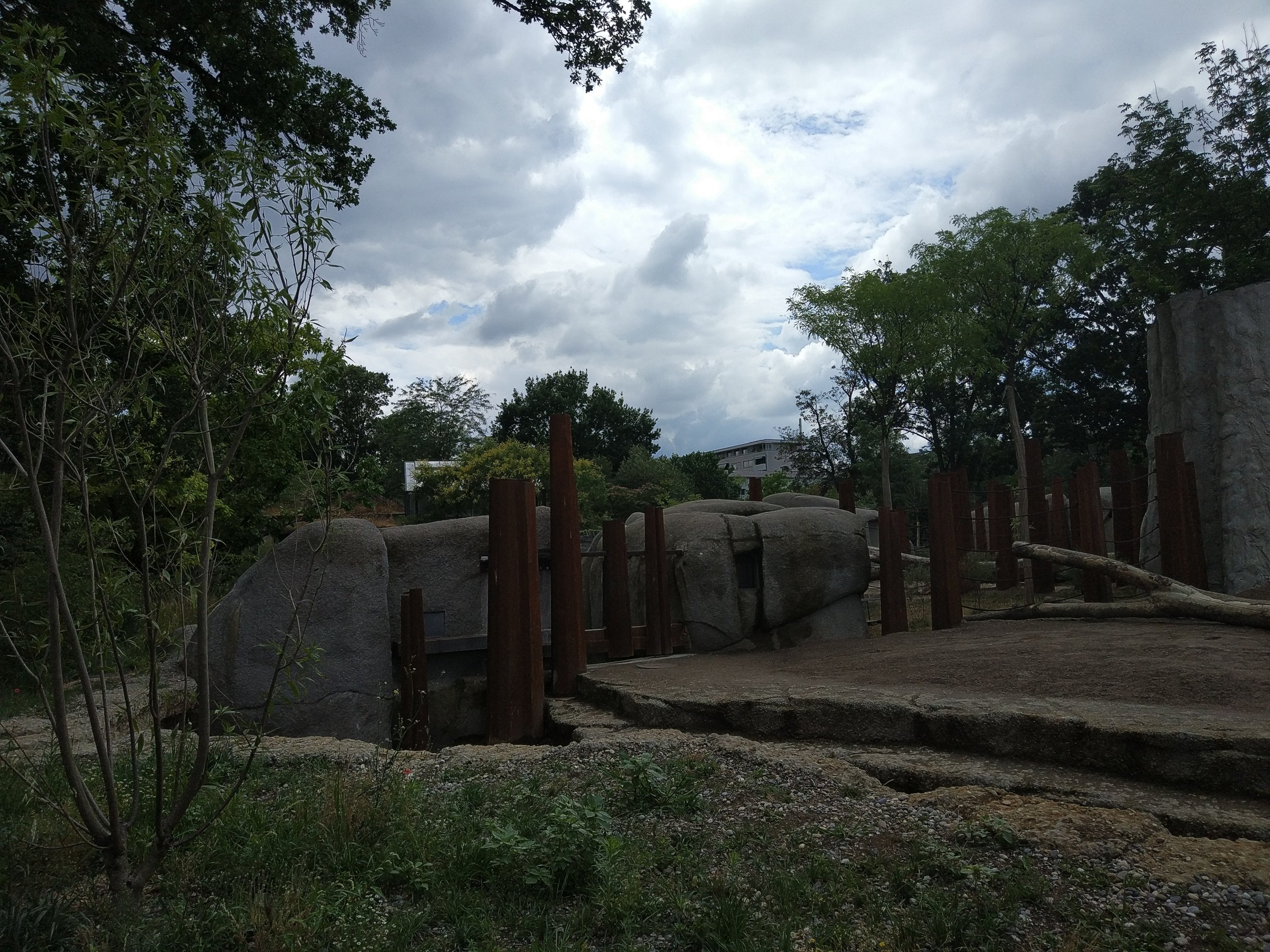 African Elephant exhibit