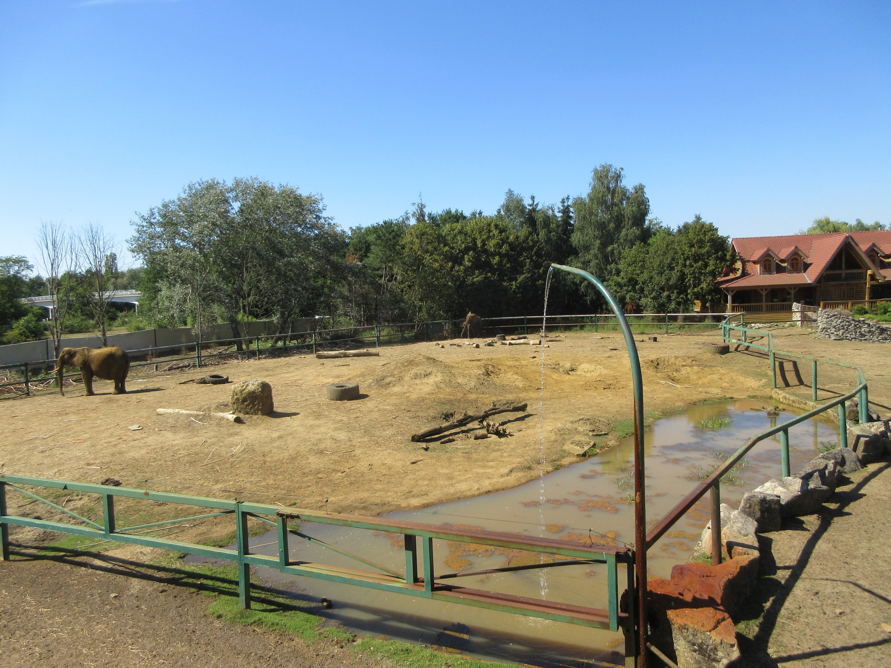African Elephant Exhibit