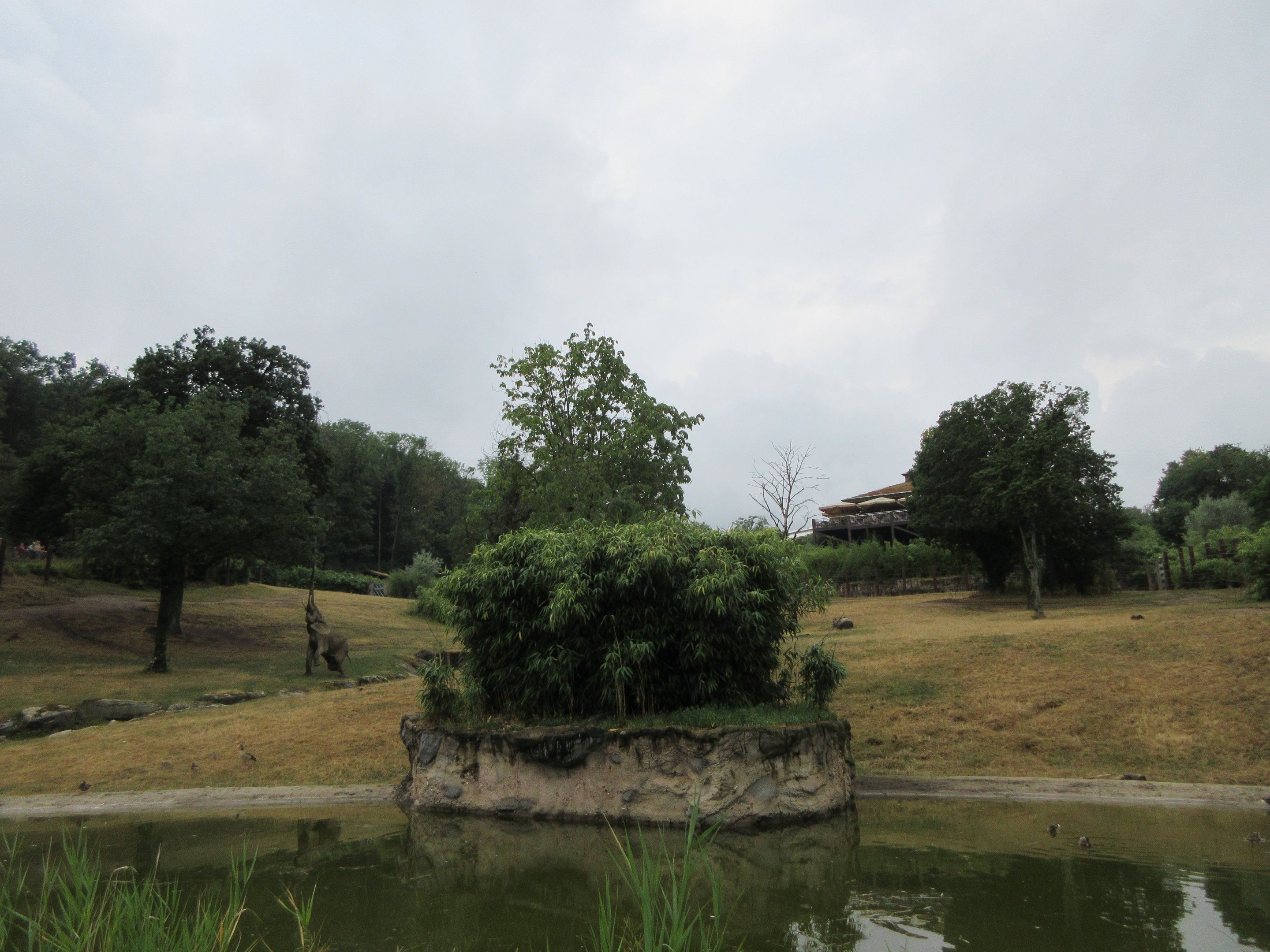 African Elephant Exhibit