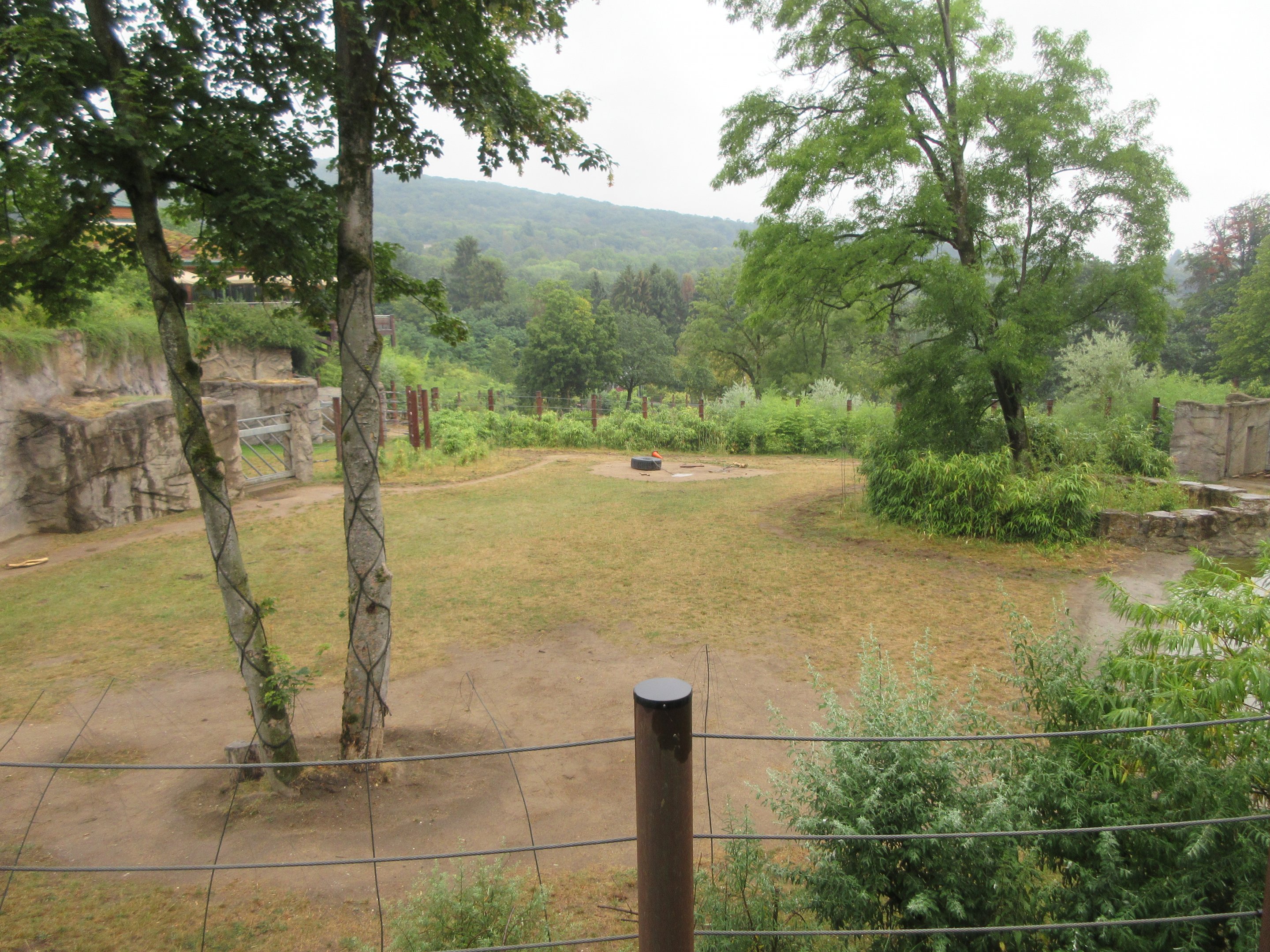 African Elephant Exhibit