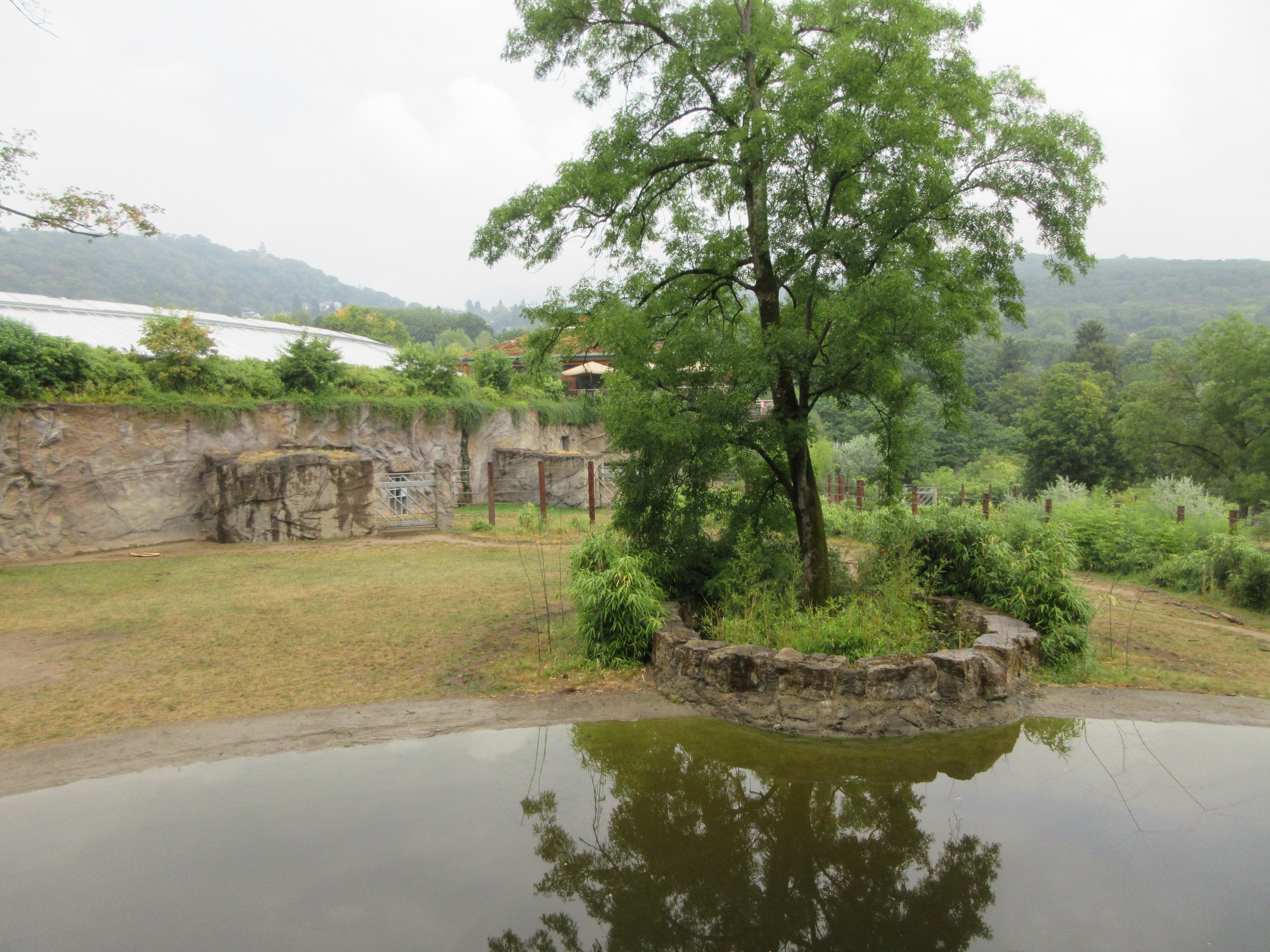 African Elephant Exhibit