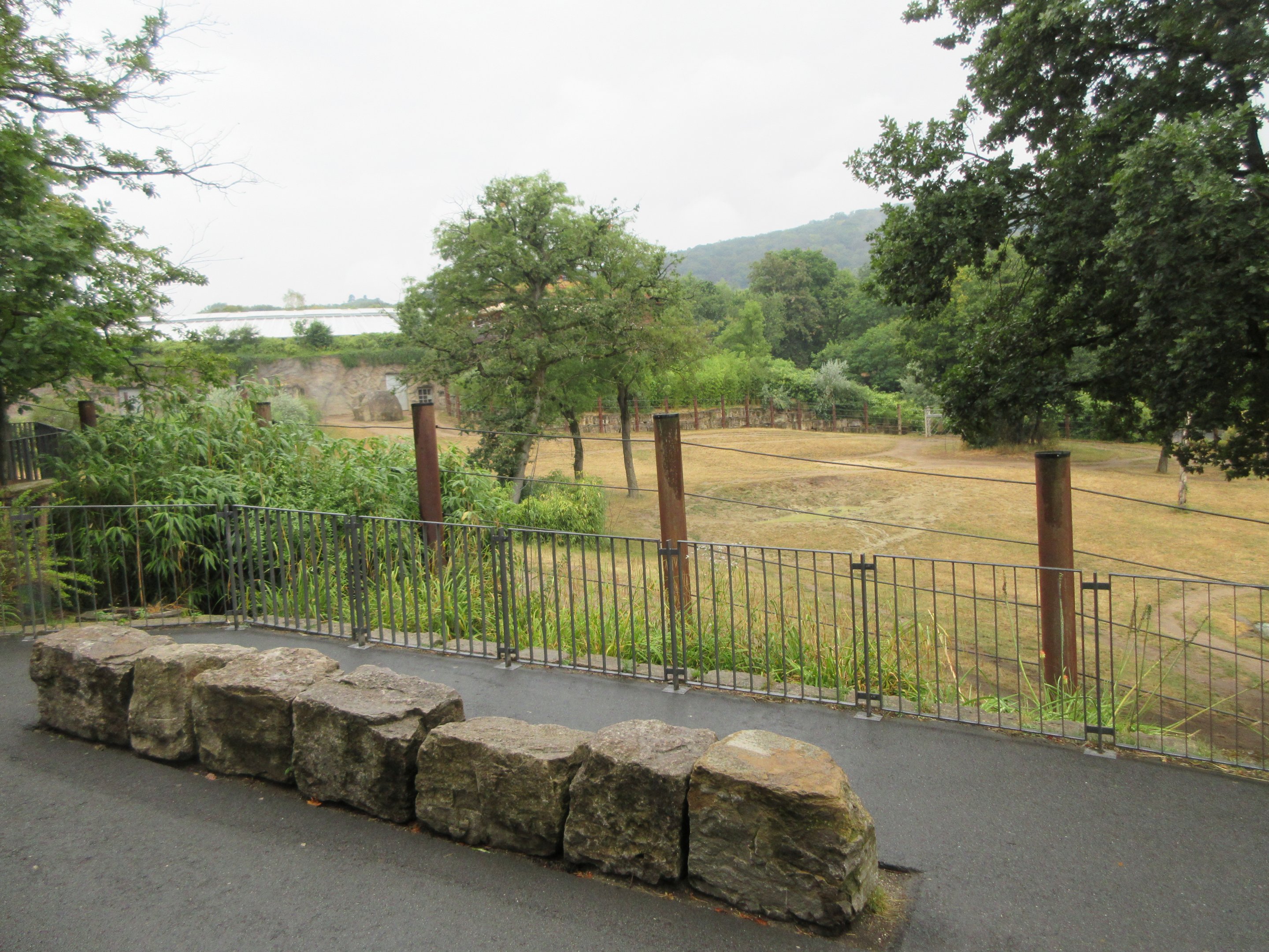 African Elephant Exhibit