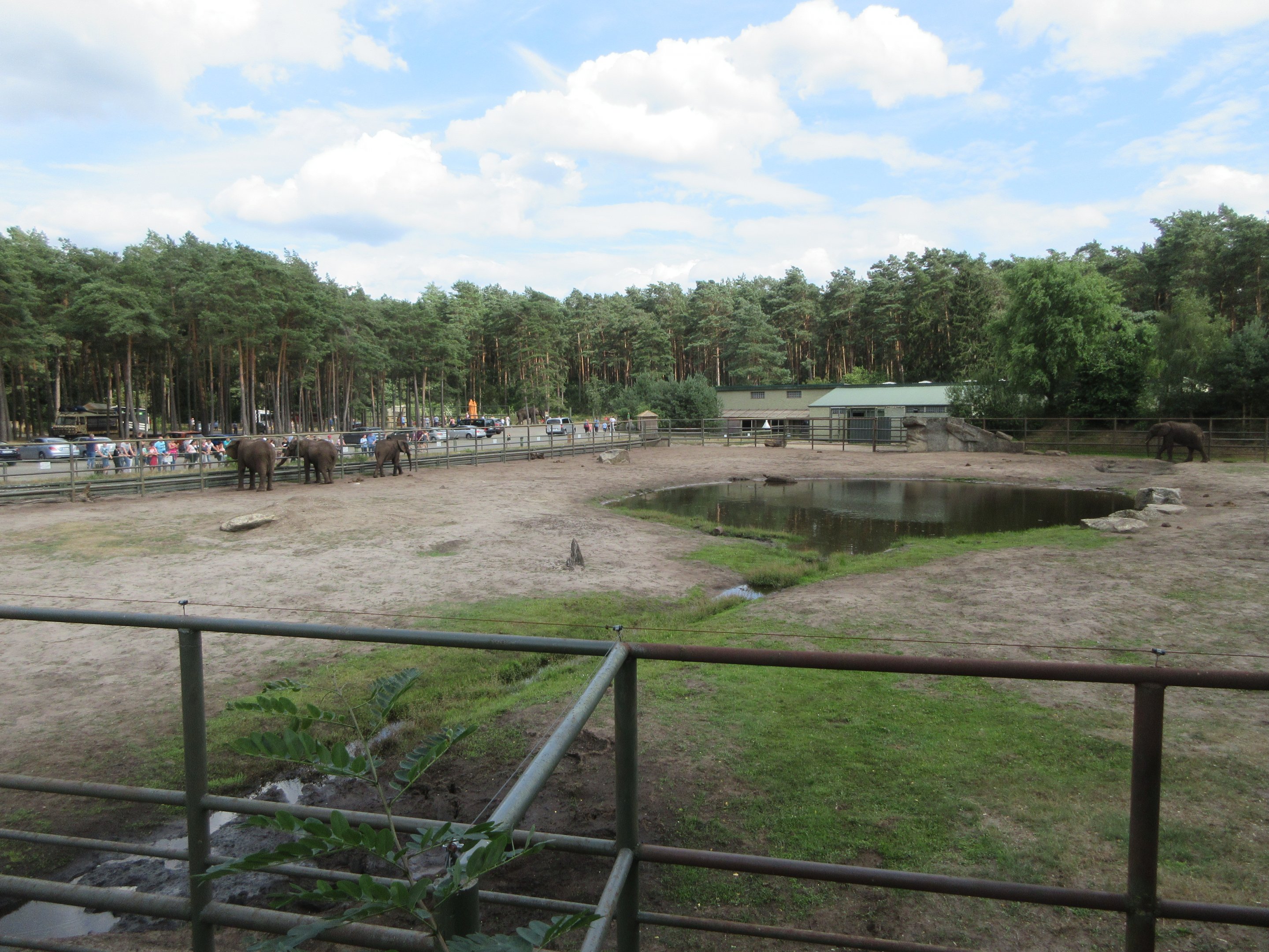 African Elephant Exhibit