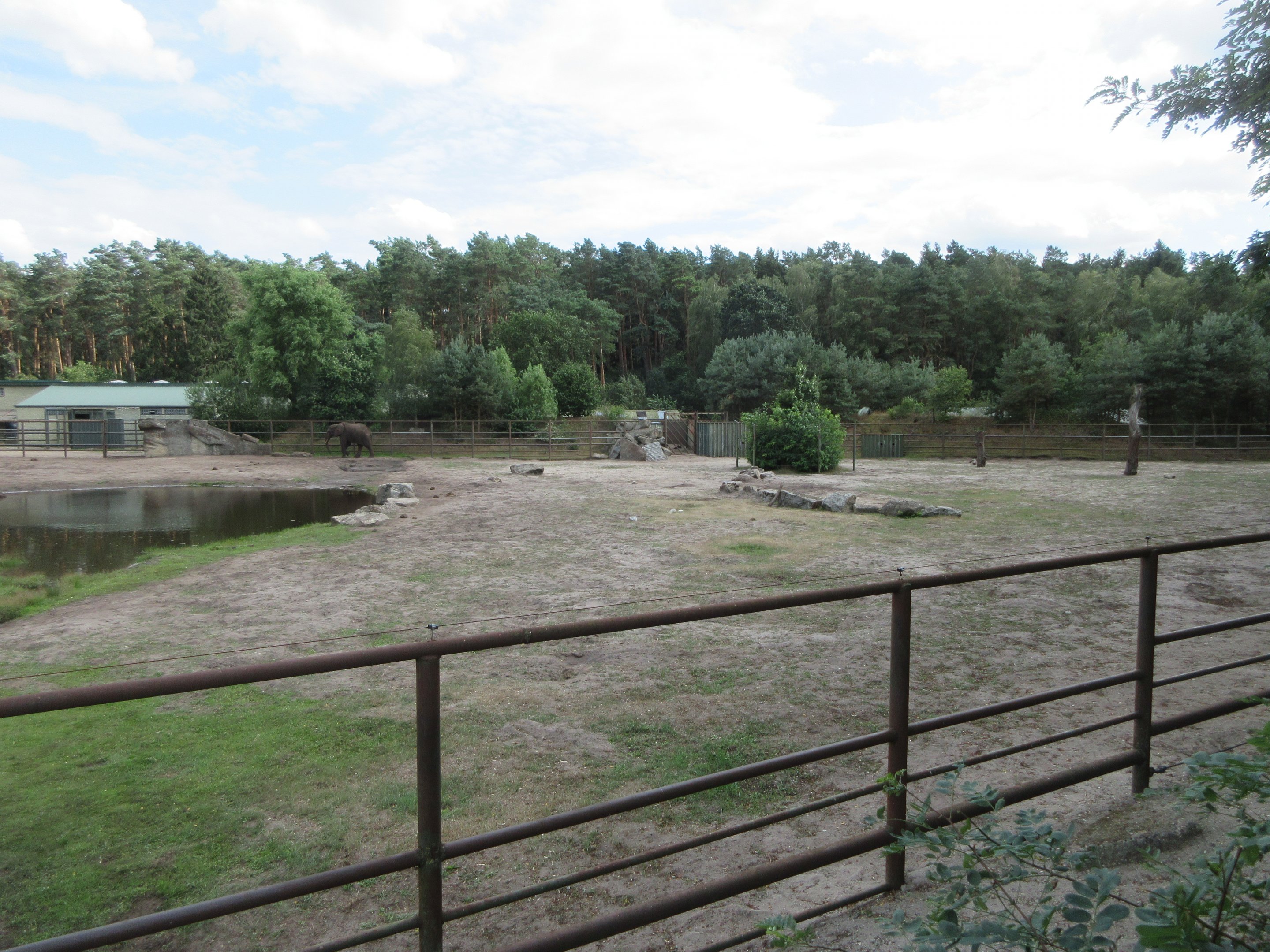 African Elephant Exhibit