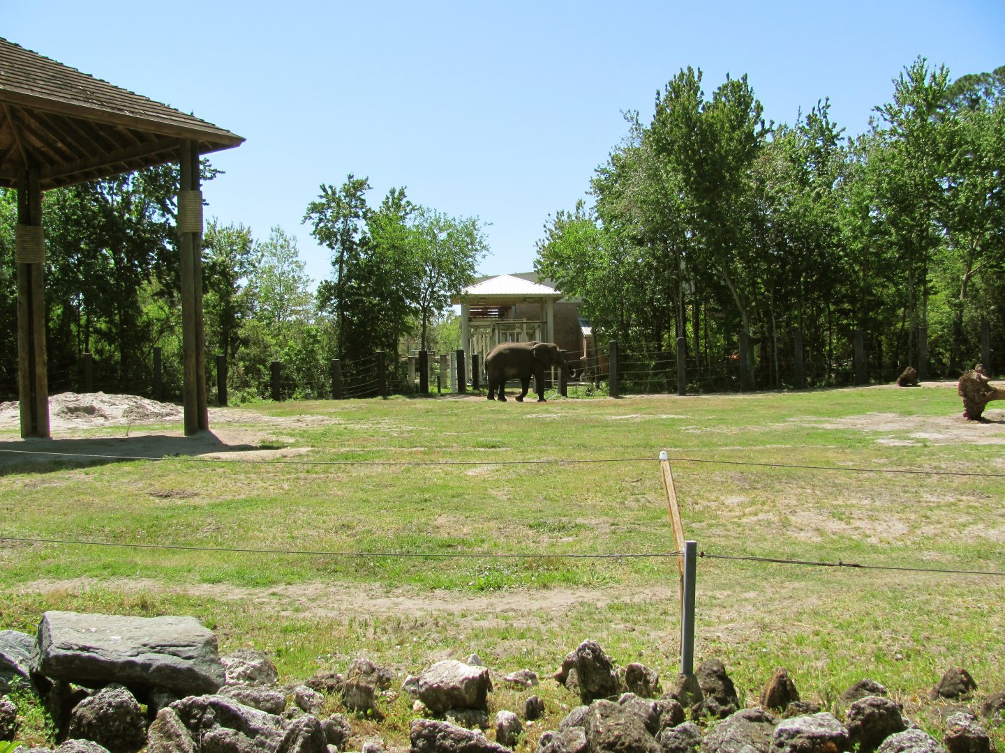 African Elephant Exhibit