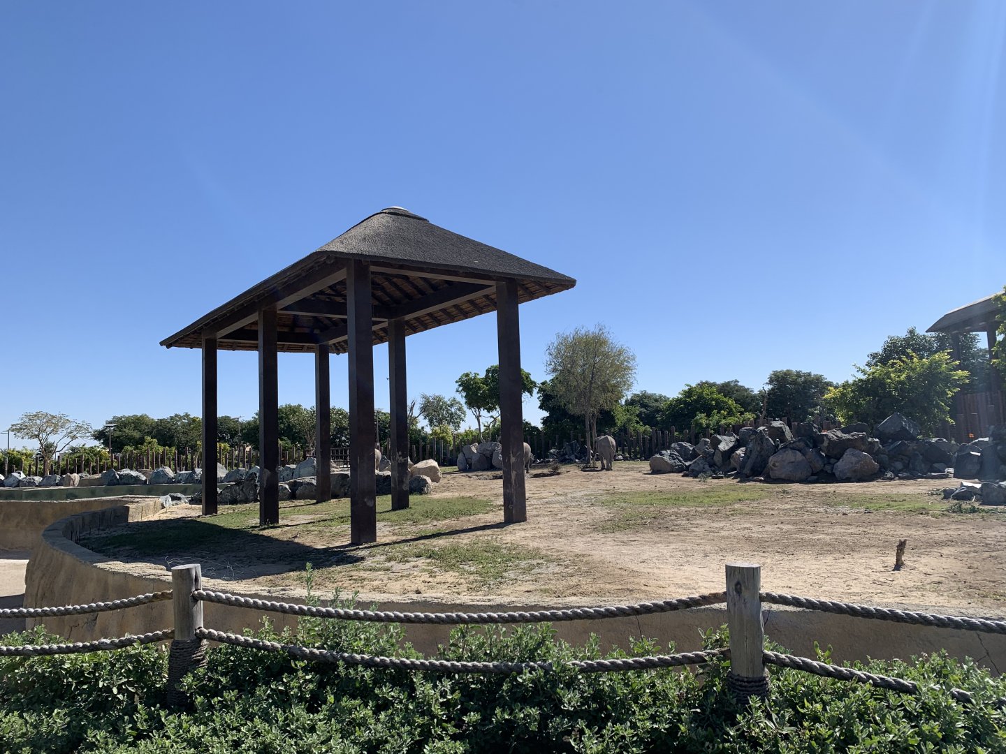 African elephant exhibit