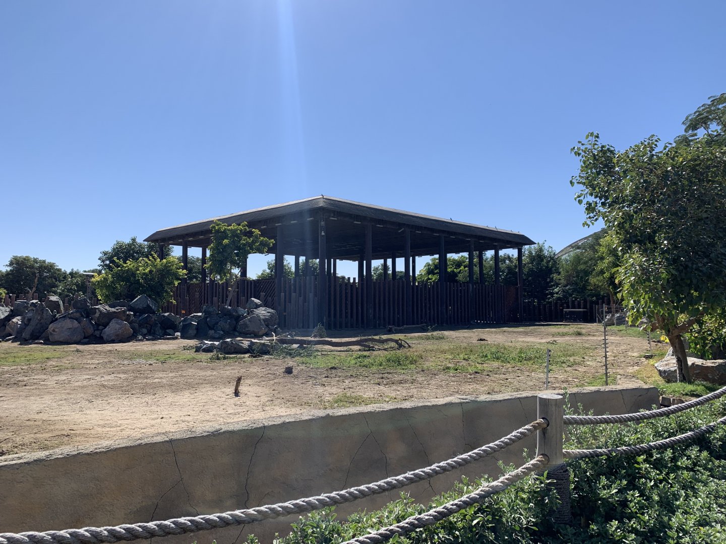 African elephant exhibit
