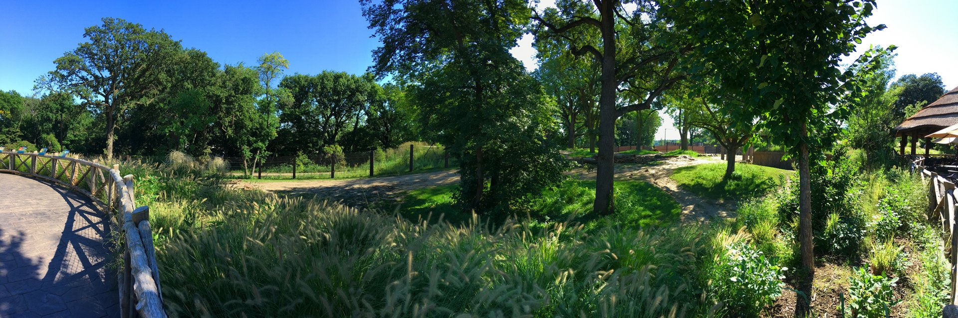 African Elephant Exhibit