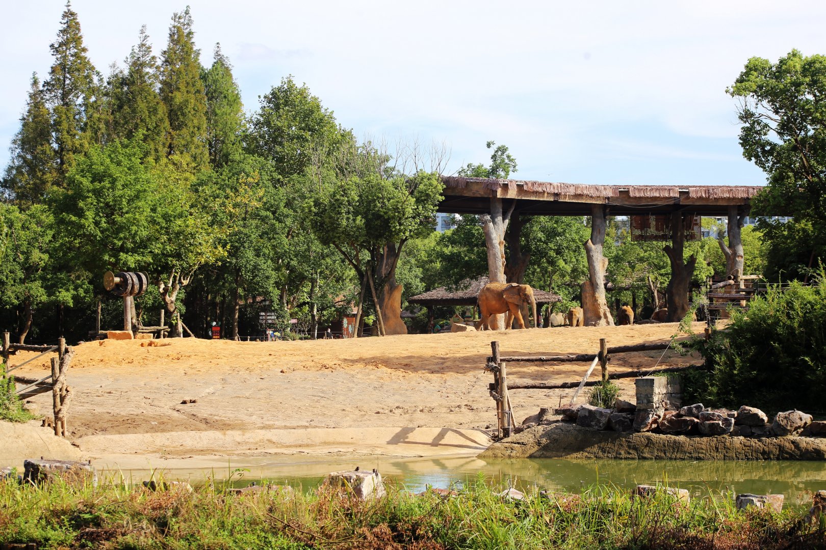 African Elephant Exhibit