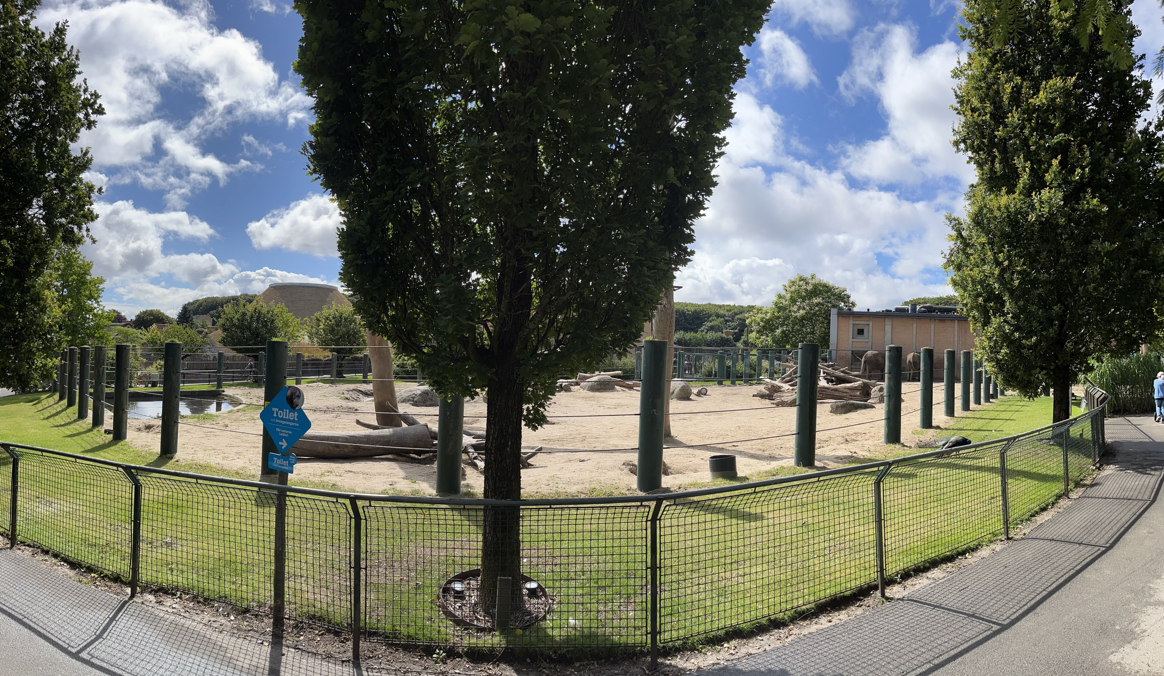 African Elephant Exhibit