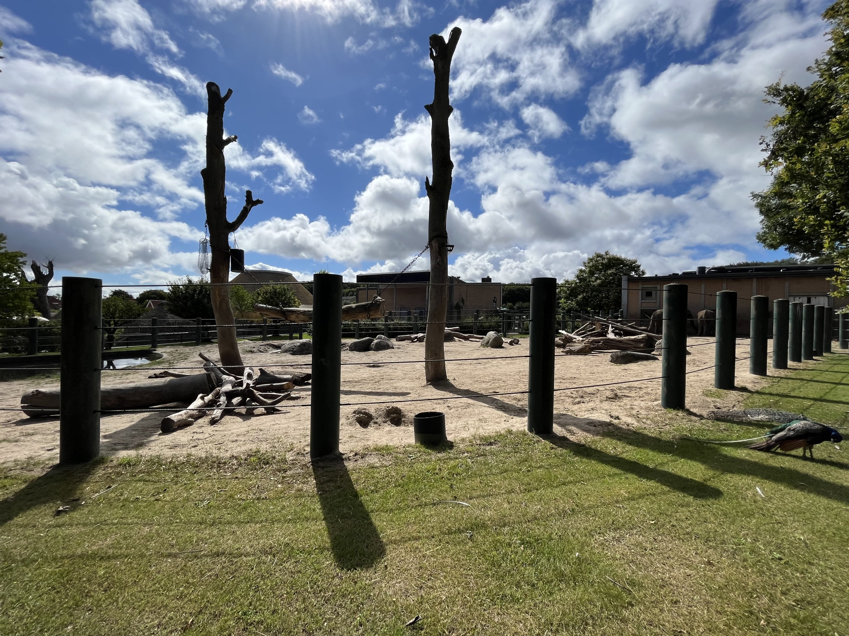 African Elephant Exhibit