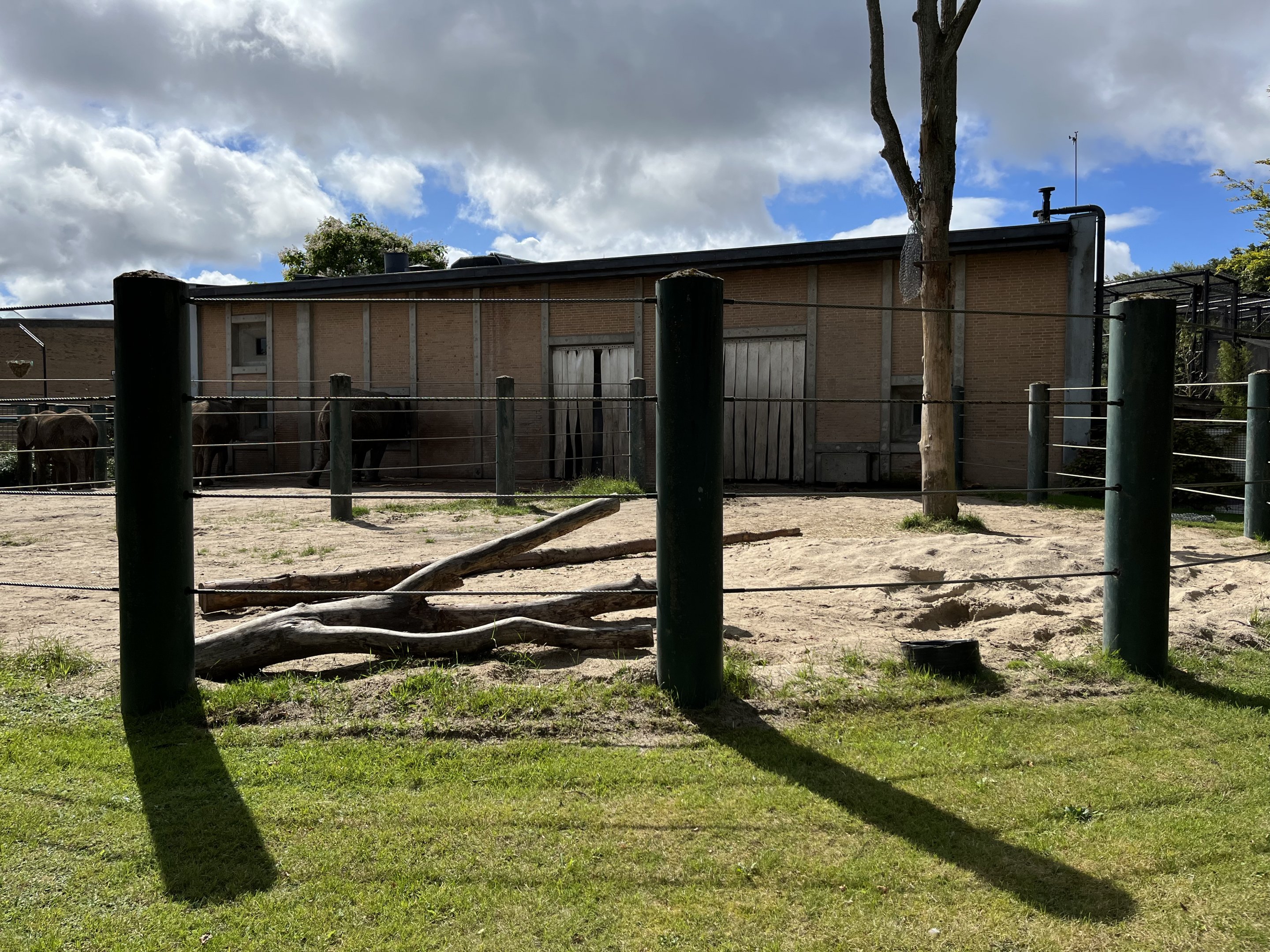 African Elephant Exhibit