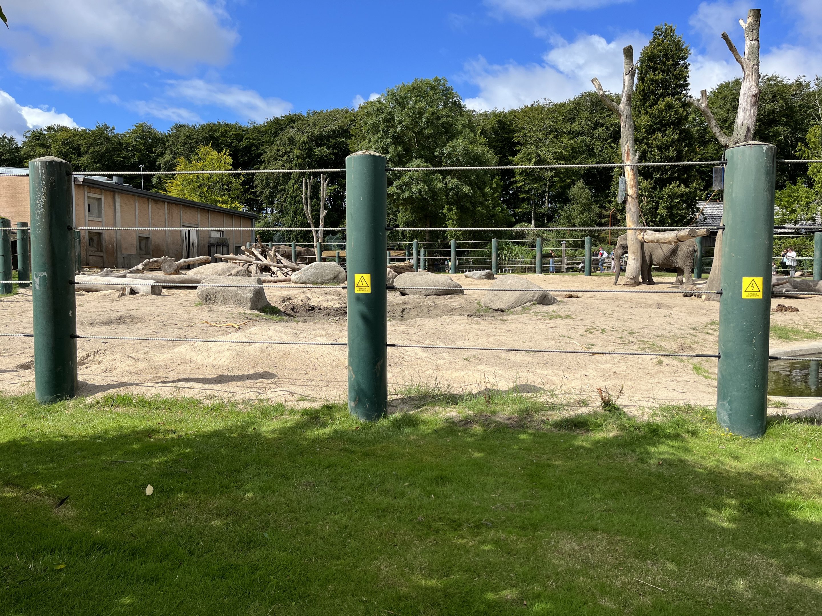 African Elephant Exhibit