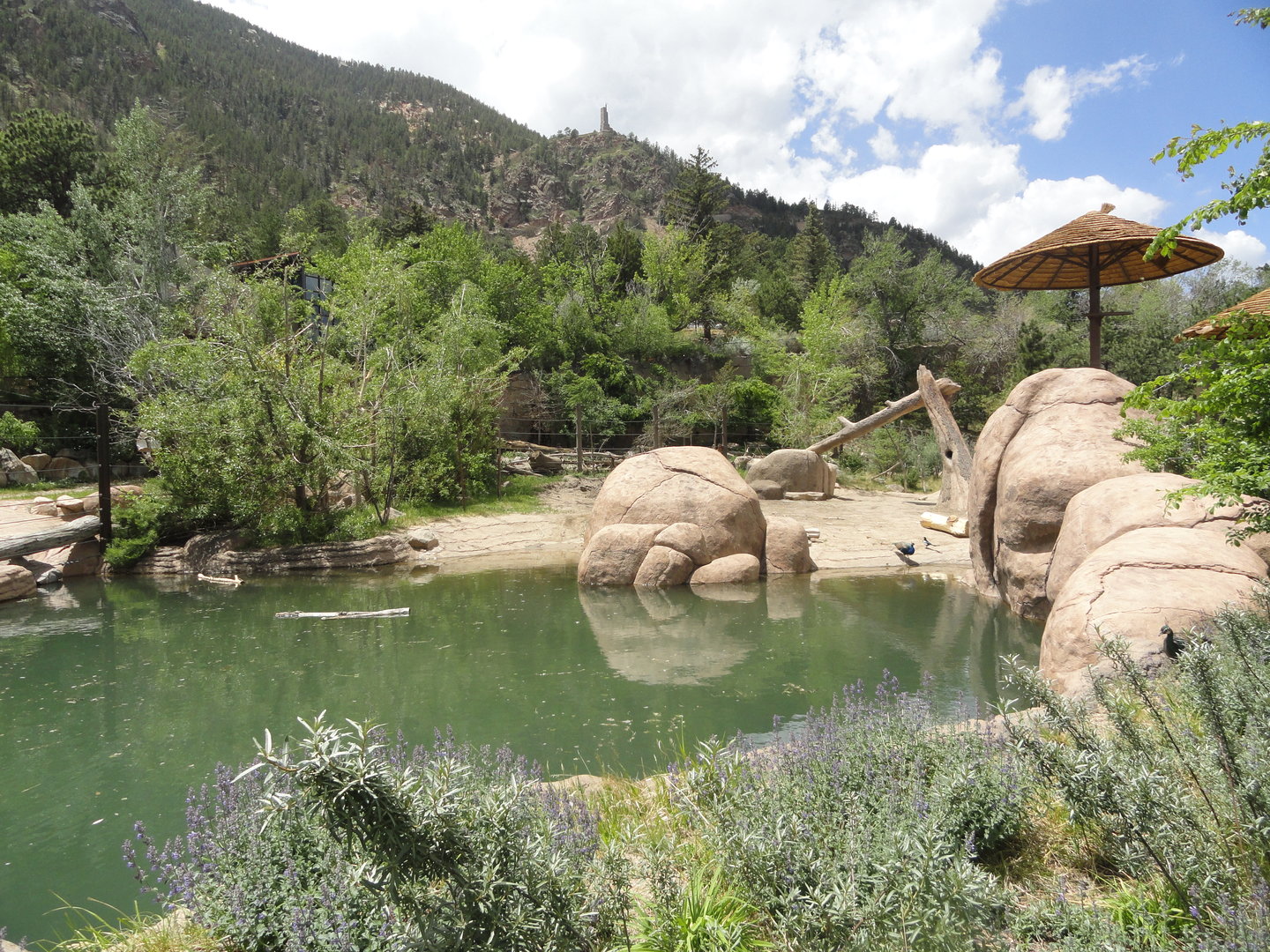 African Elephant Exhibit