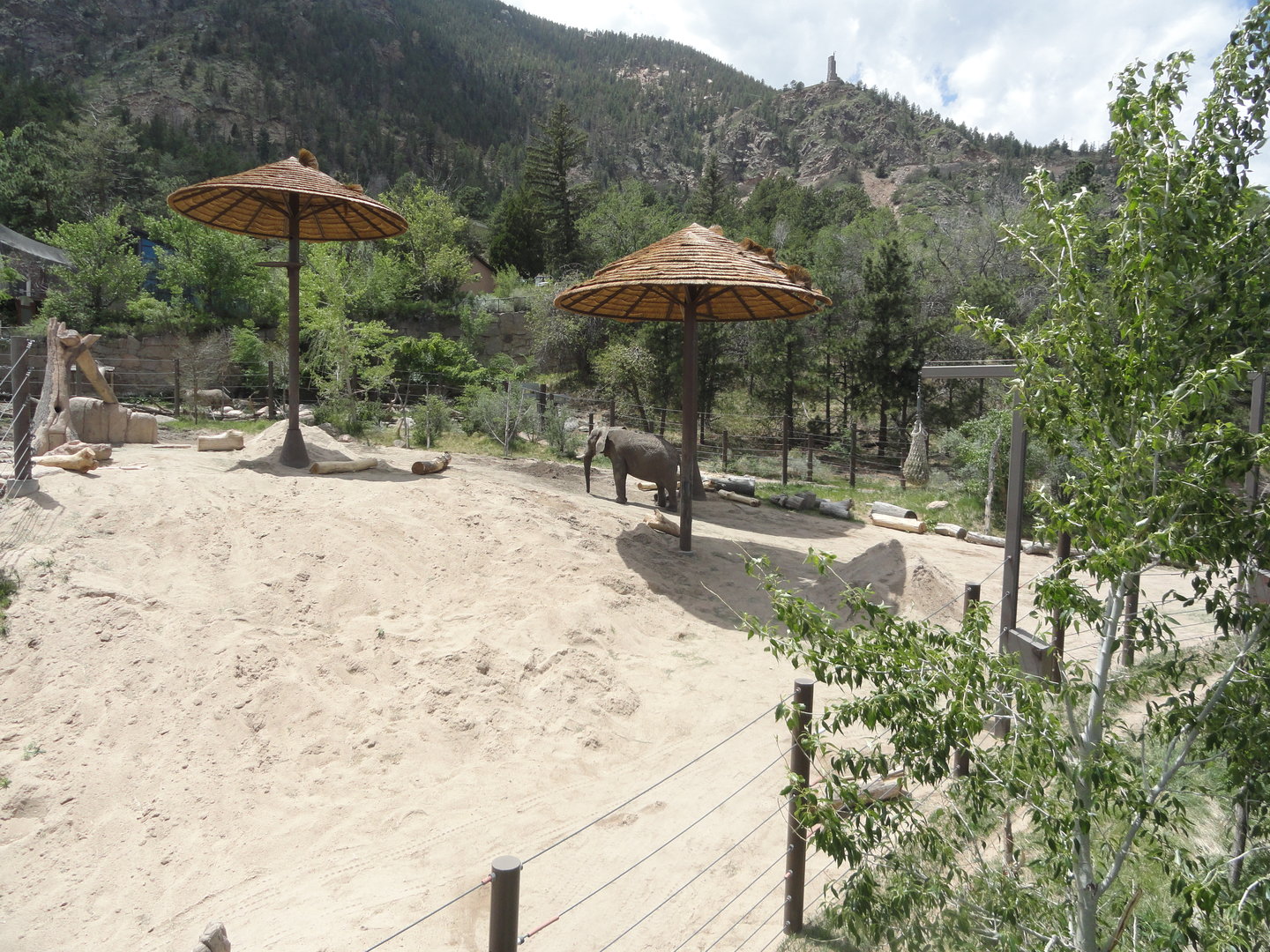 African Elephant Exhibit