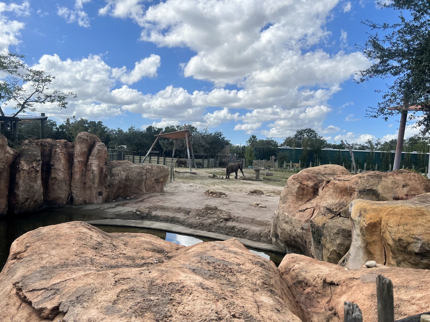 African Elephant Exhibit