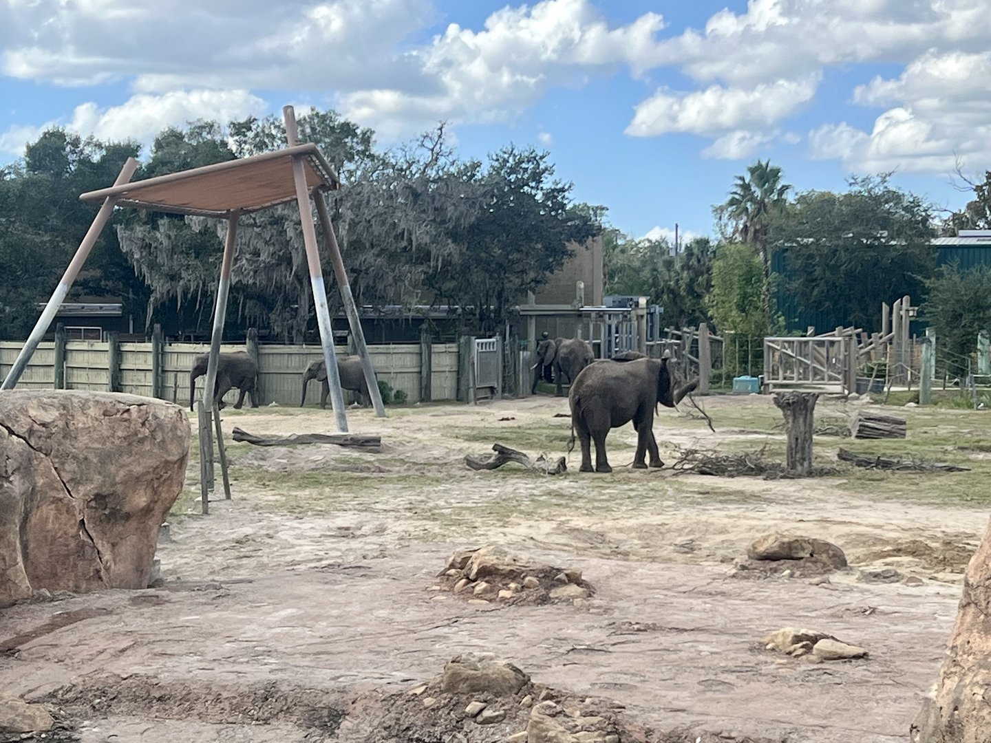 African Elephant Exhibit
