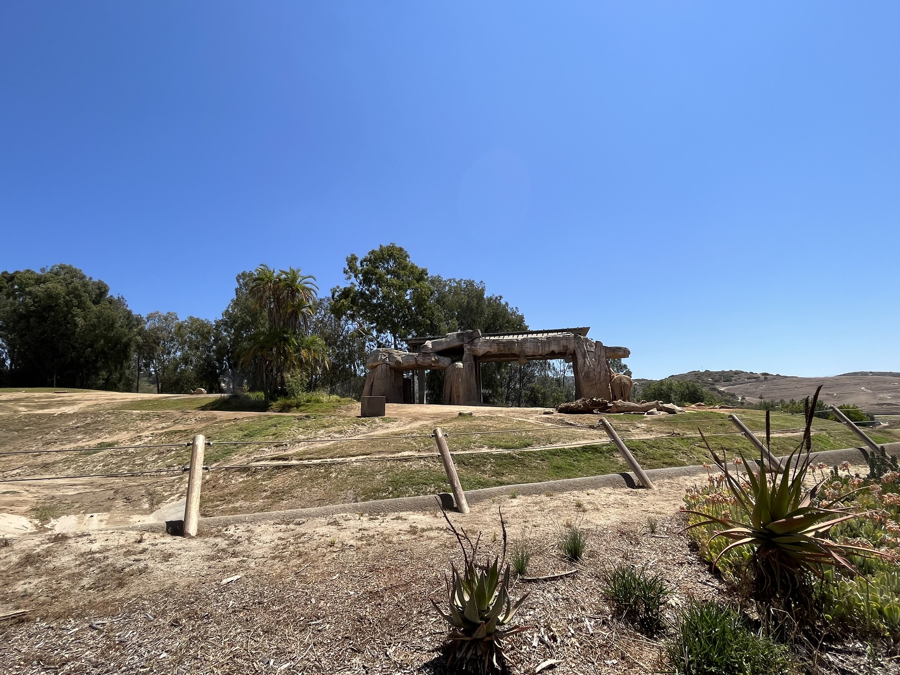 African Elephant Exhibit