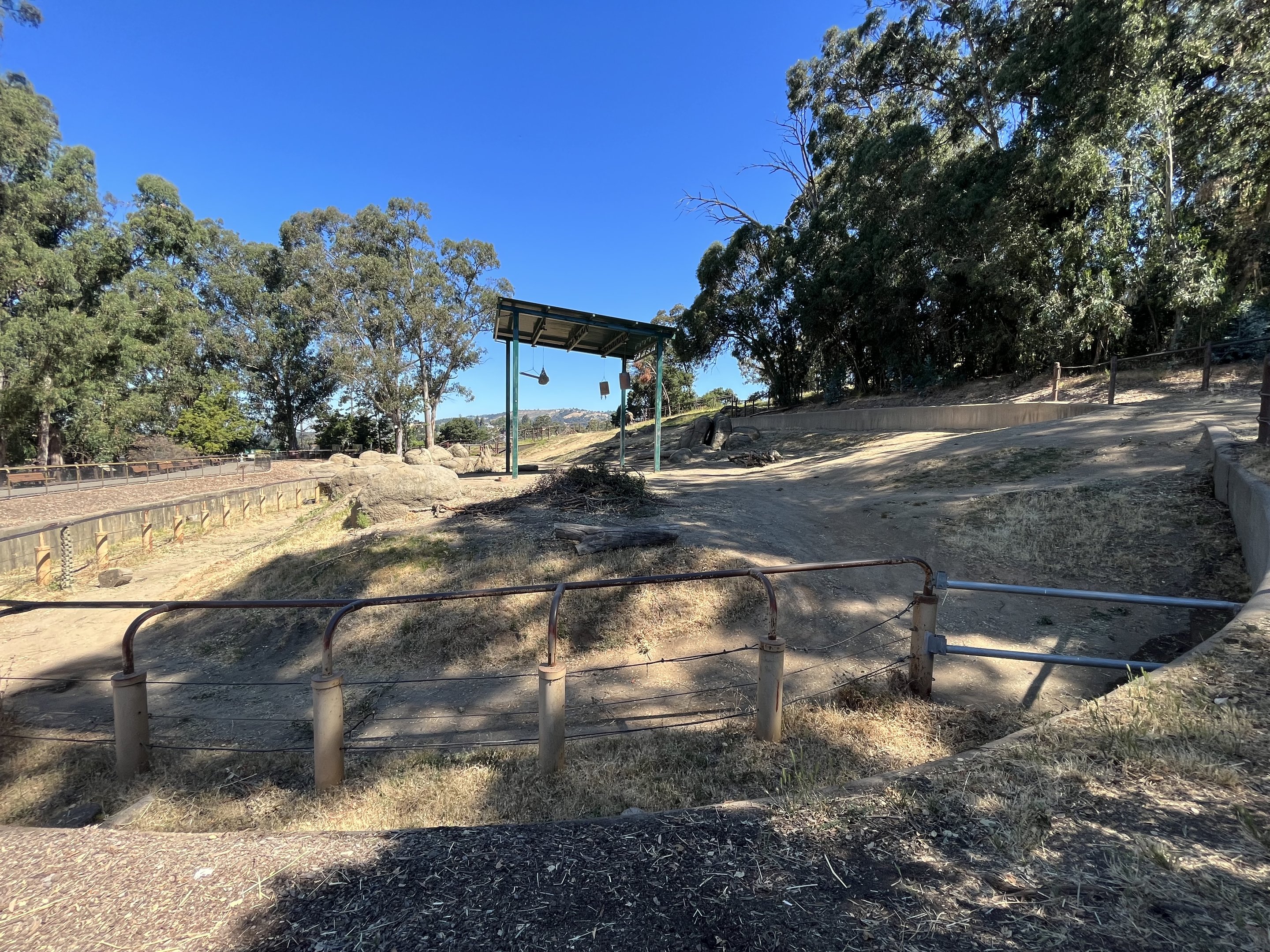 African Elephant Exhibit