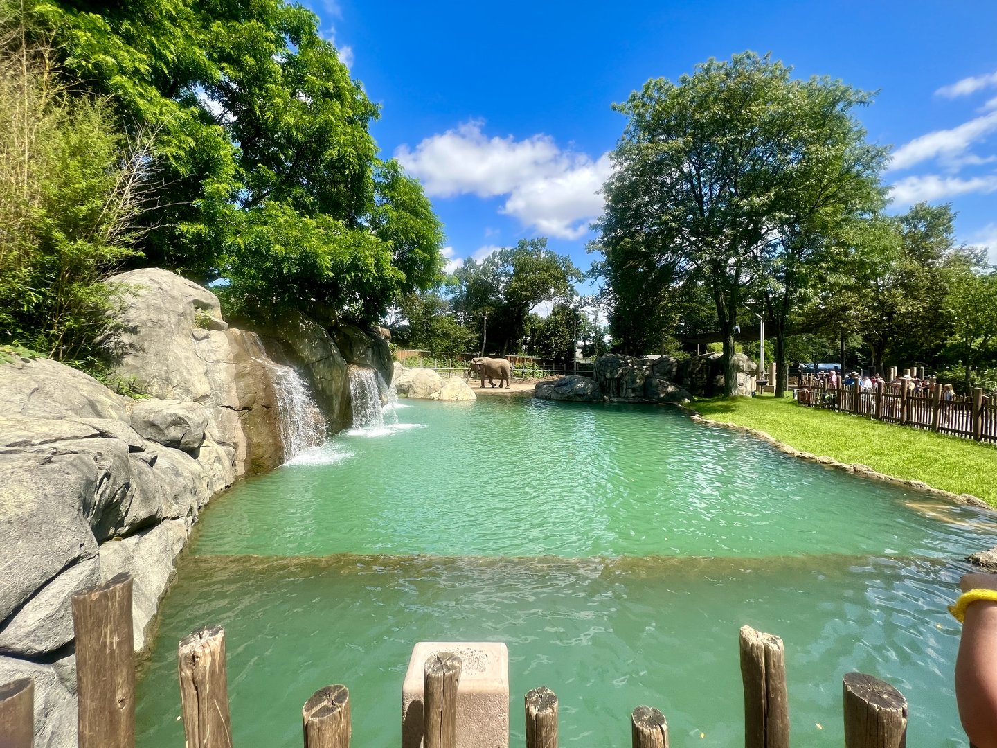 African Elephant Exhibit