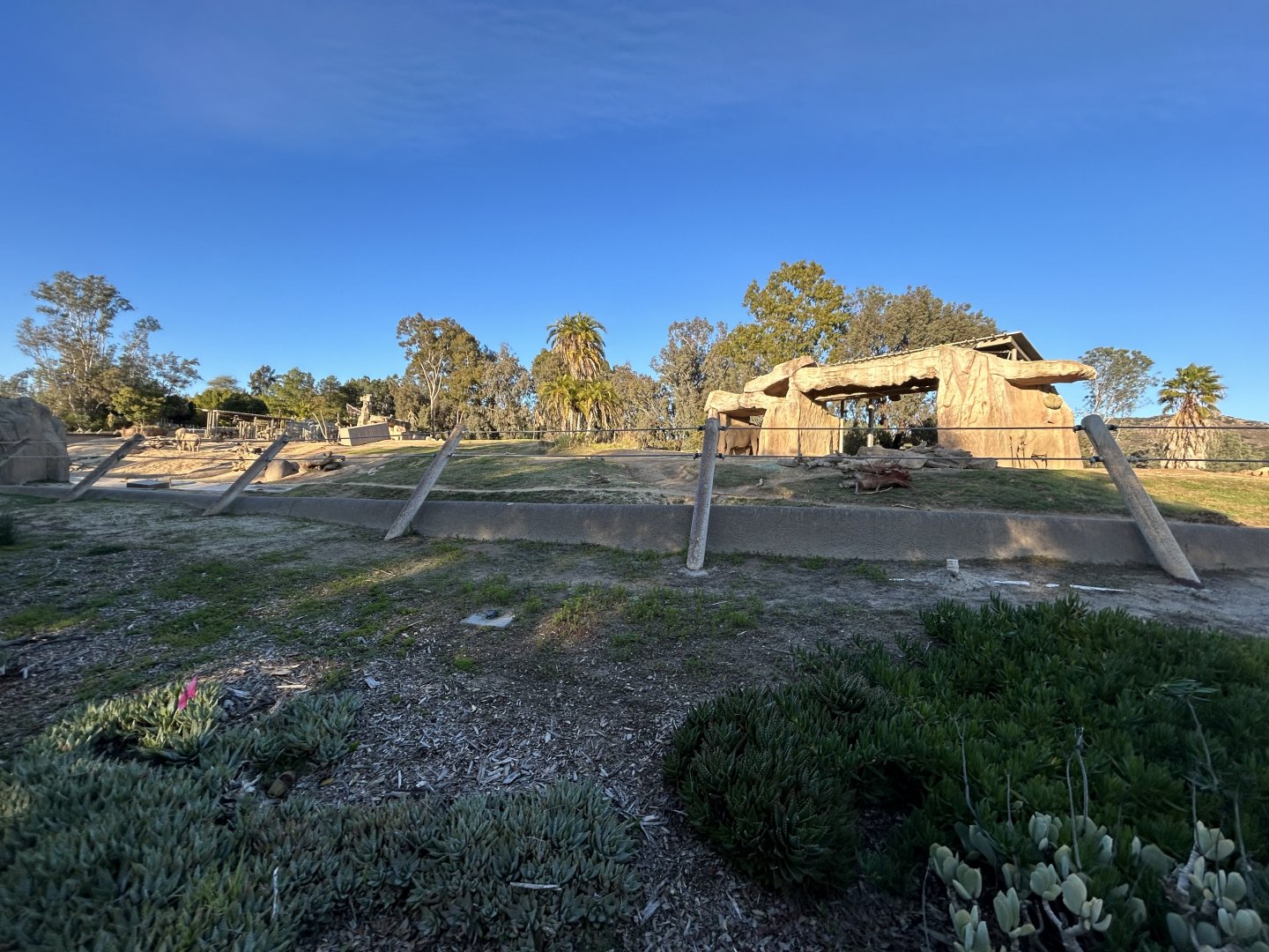 African Elephant Exhibit