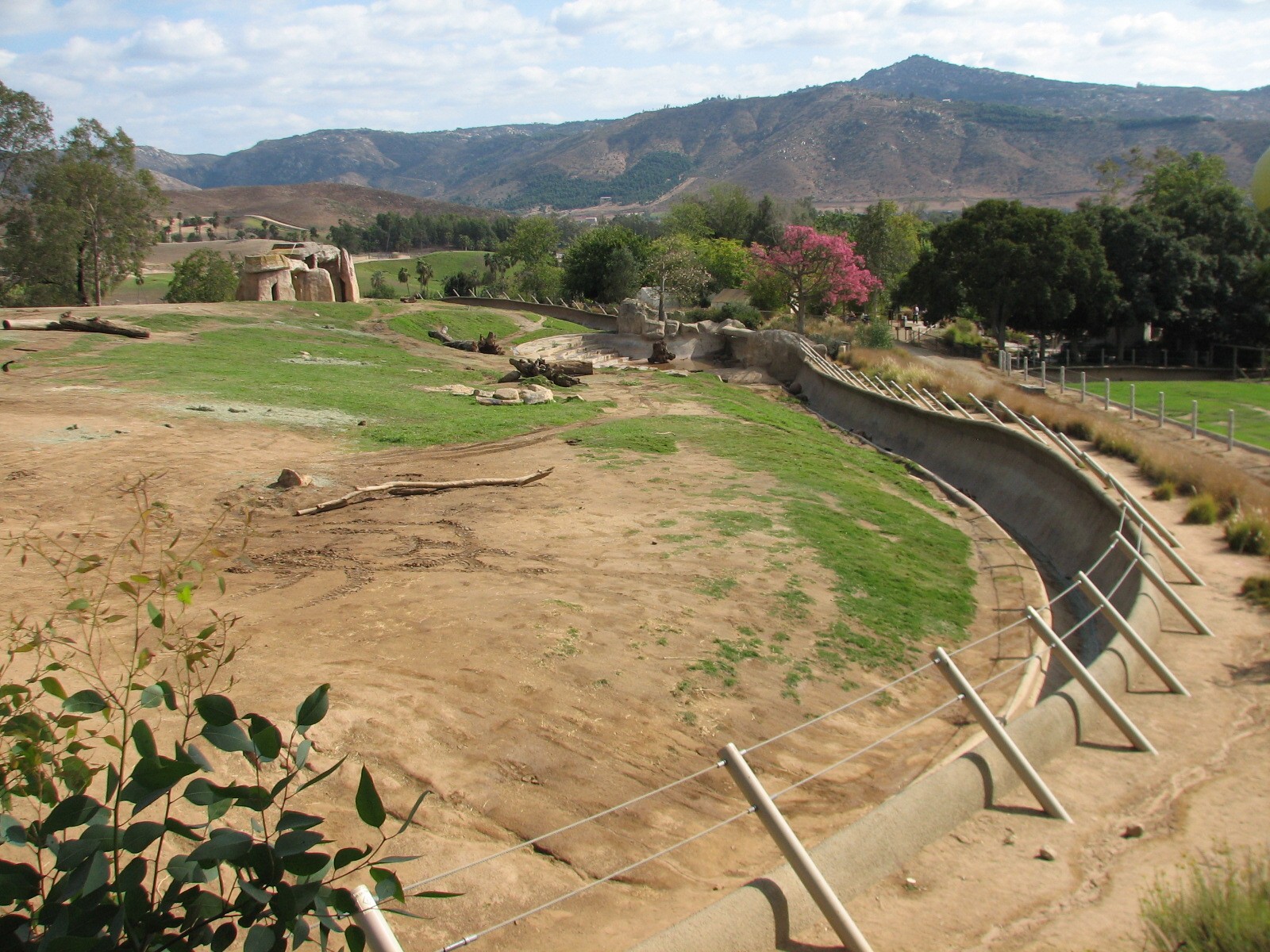 African Elephant Exhibit