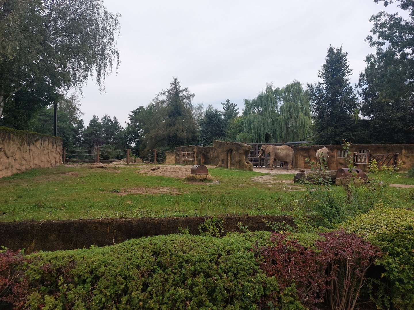 African elephant exhibit