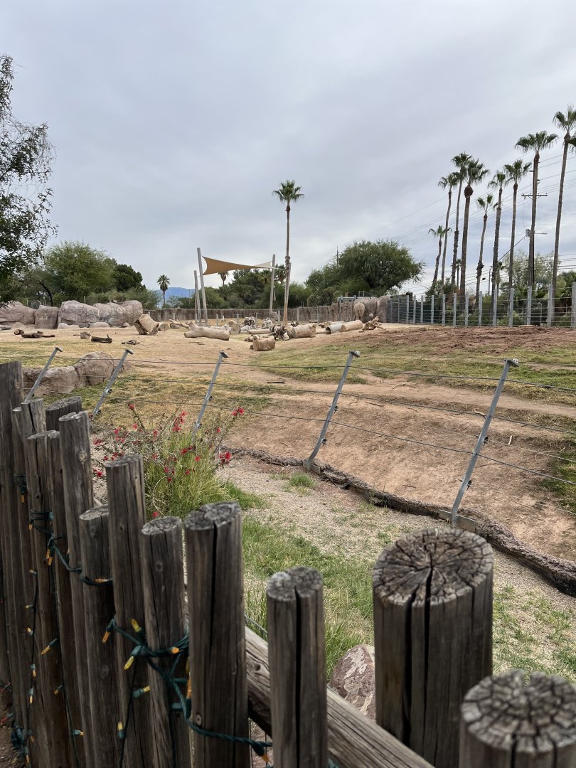 African Elephant Exhibit